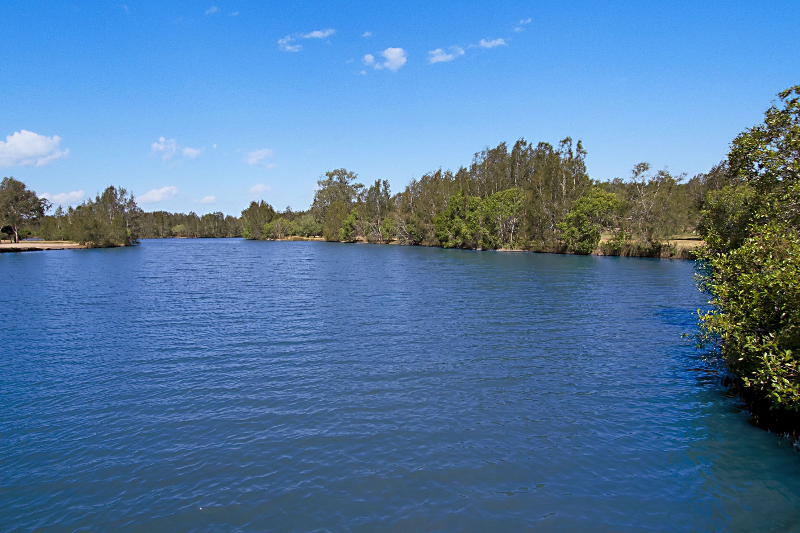 74 Silver Glade Drive, Elanora QLD 4221, Elanora - Thumbnail 7