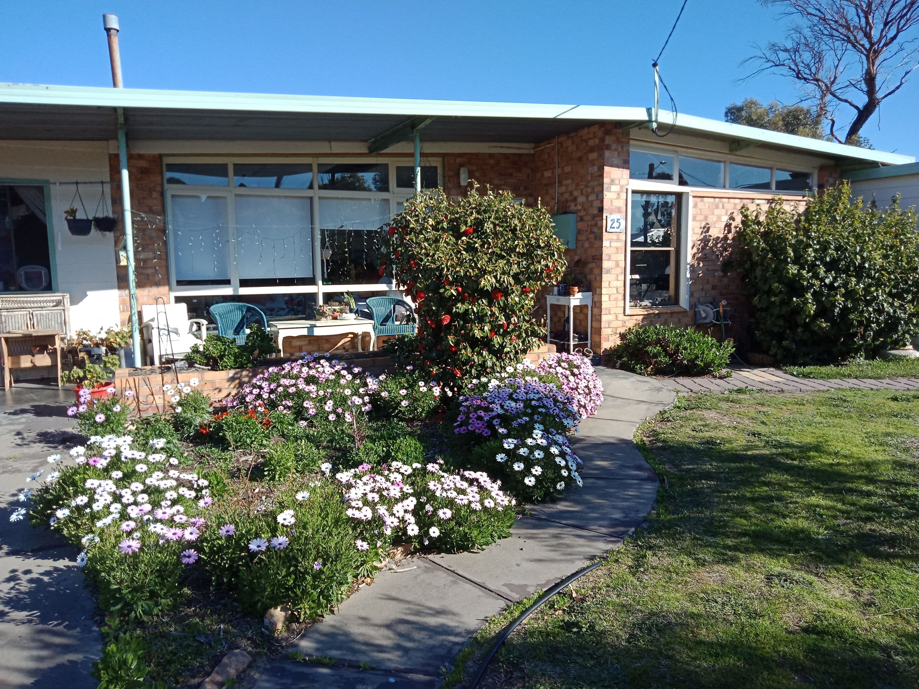 25 Henry Street, Tambellup WA 6320, Tambellup - Thumbnail 2