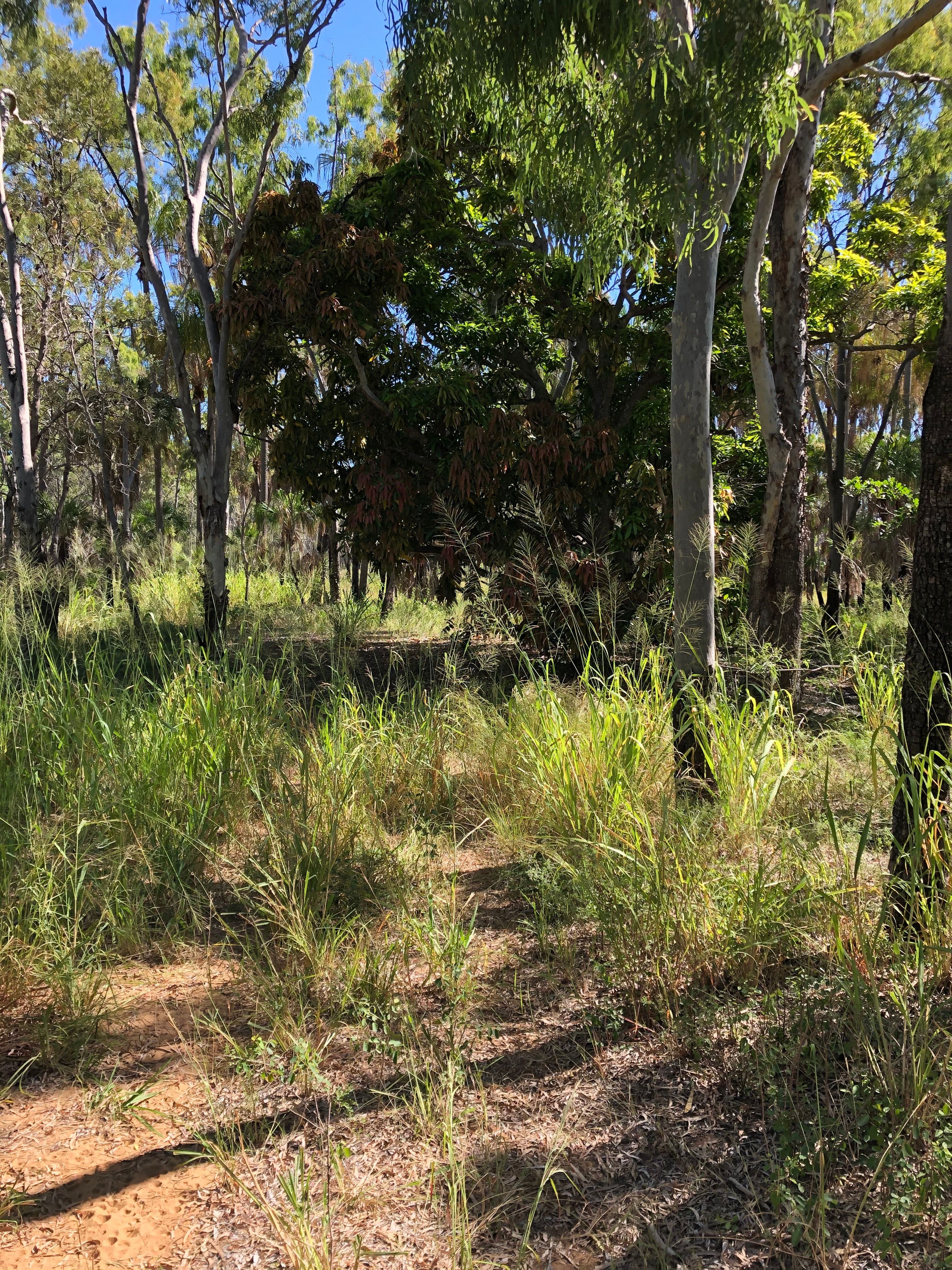 Lot 2 Keppel Sands Road, Keppel Sands QLD 4702, Keppel Sands - Thumbnail 5