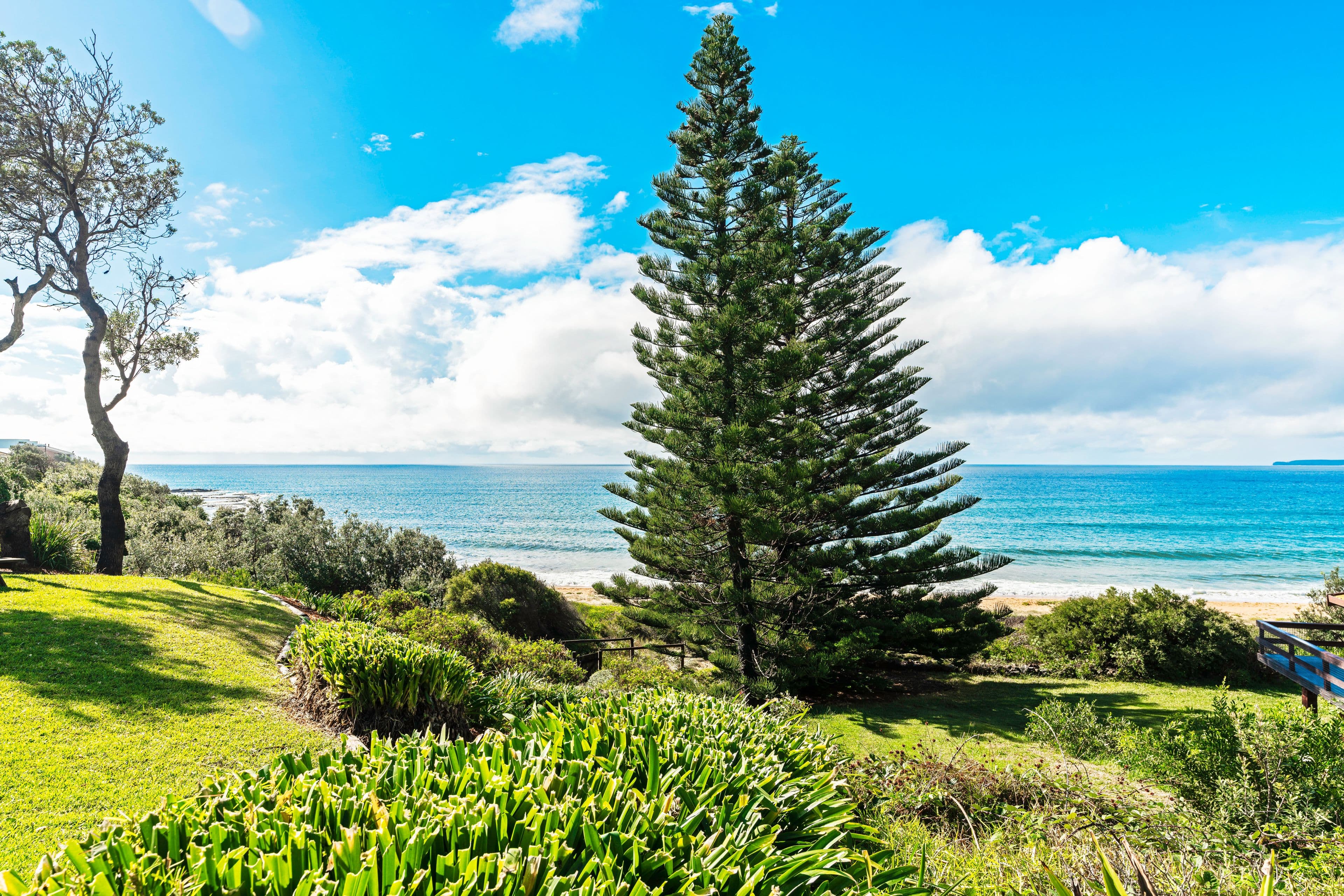 167 Penguins Head Road, Culburra Beach - Image 1