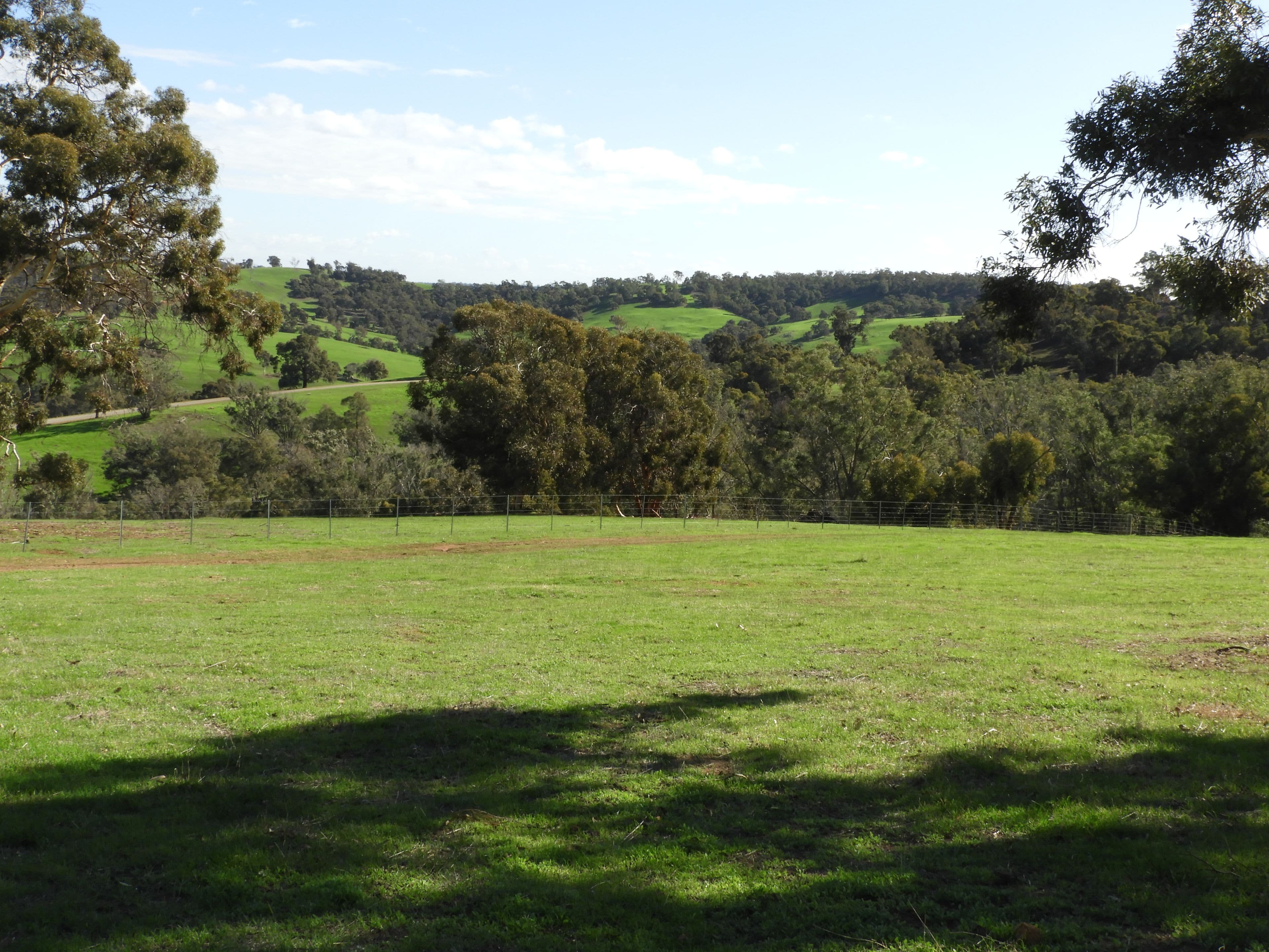 Lot 716 Lower Chittering Road, Chittering WA 6084, Chittering - Thumbnail 5