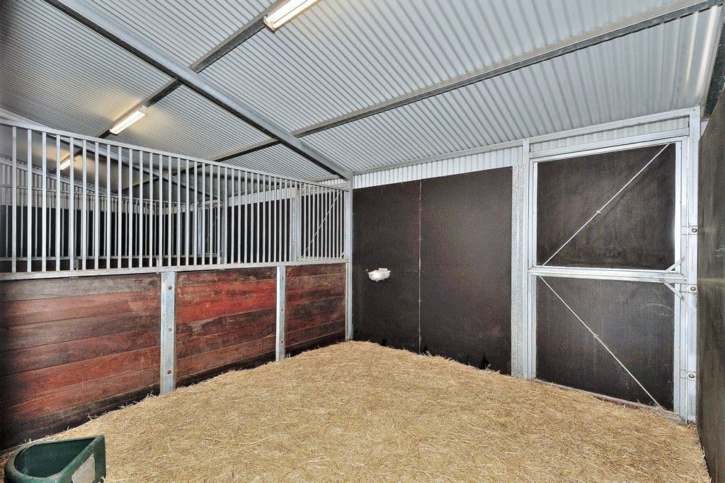34 Arbuckle Street, Muchea WA 6501, Muchea - Thumbnail 4