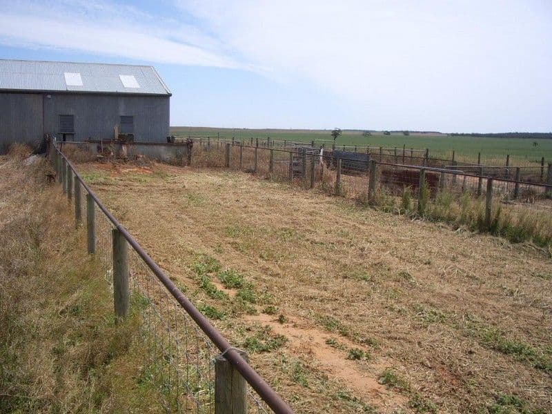 3803 Goondoloo Road, Halidon SA 5309, Halidon - Thumbnail 5