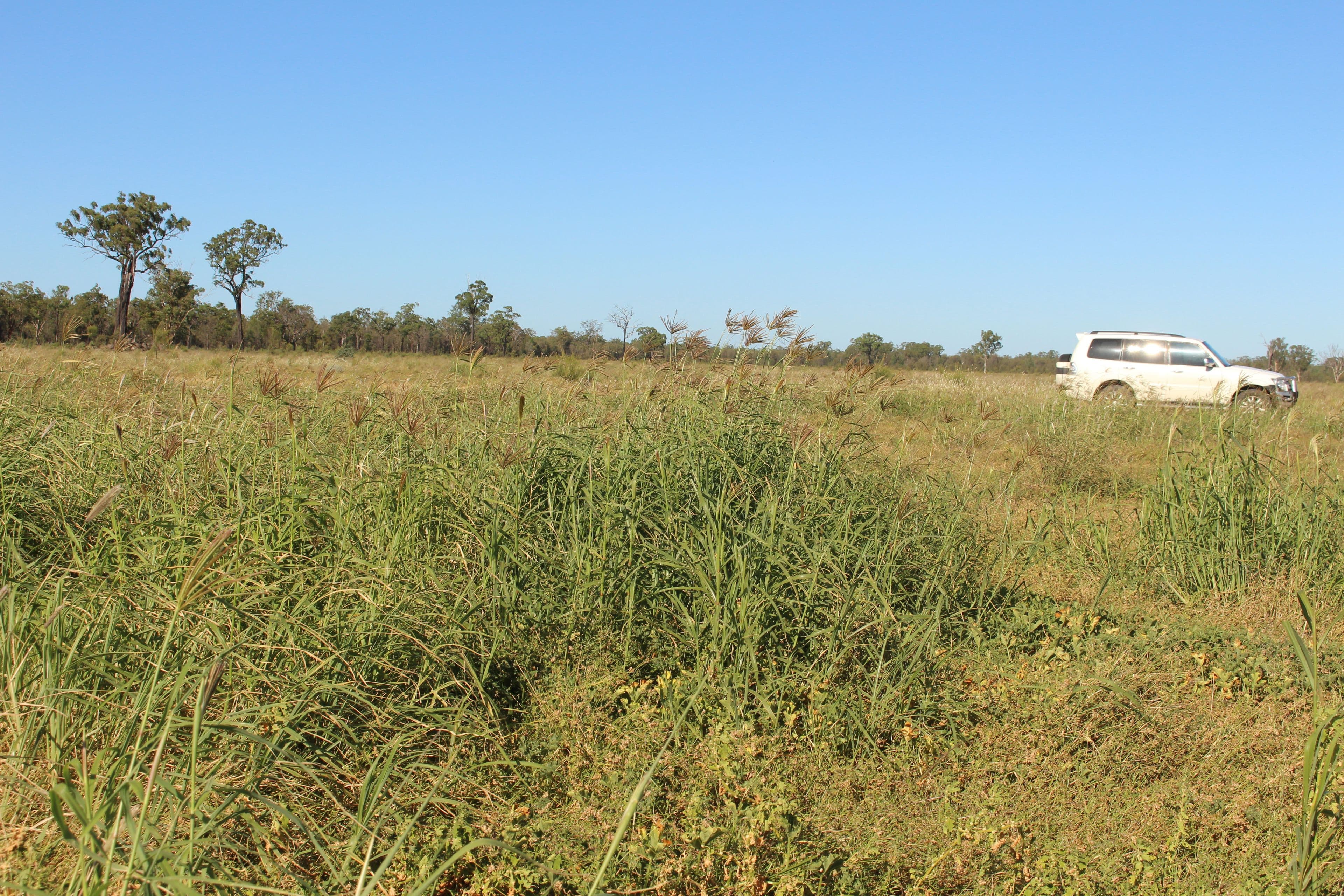 2811 Lockwood Rd, Kurrowah, Millmerran QLD 4357, Millmerran - Thumbnail 3