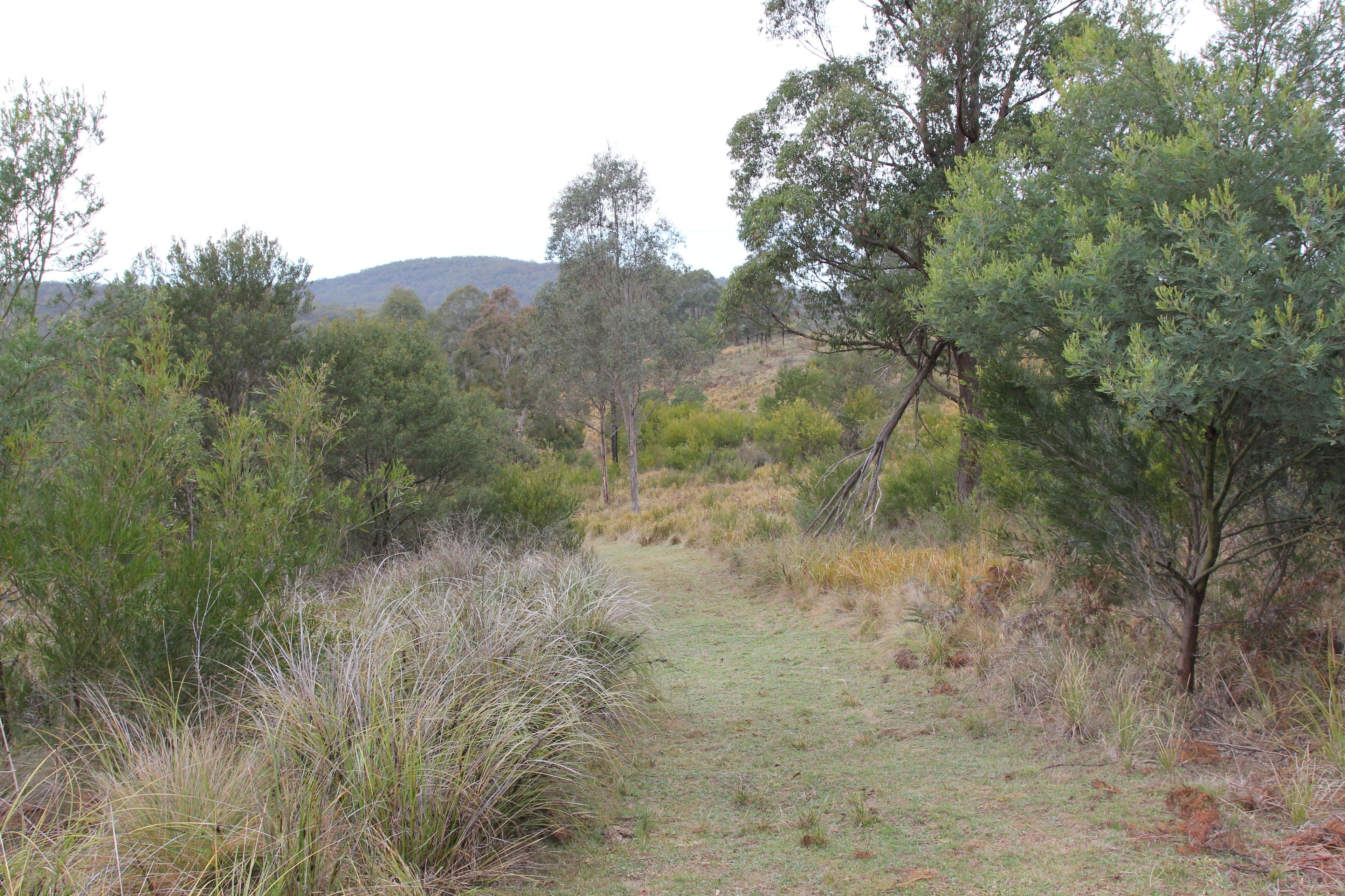 Lot 2 Rover Park Road, Sandy Hill NSW 2372, Sandy Hill - Thumbnail 5
