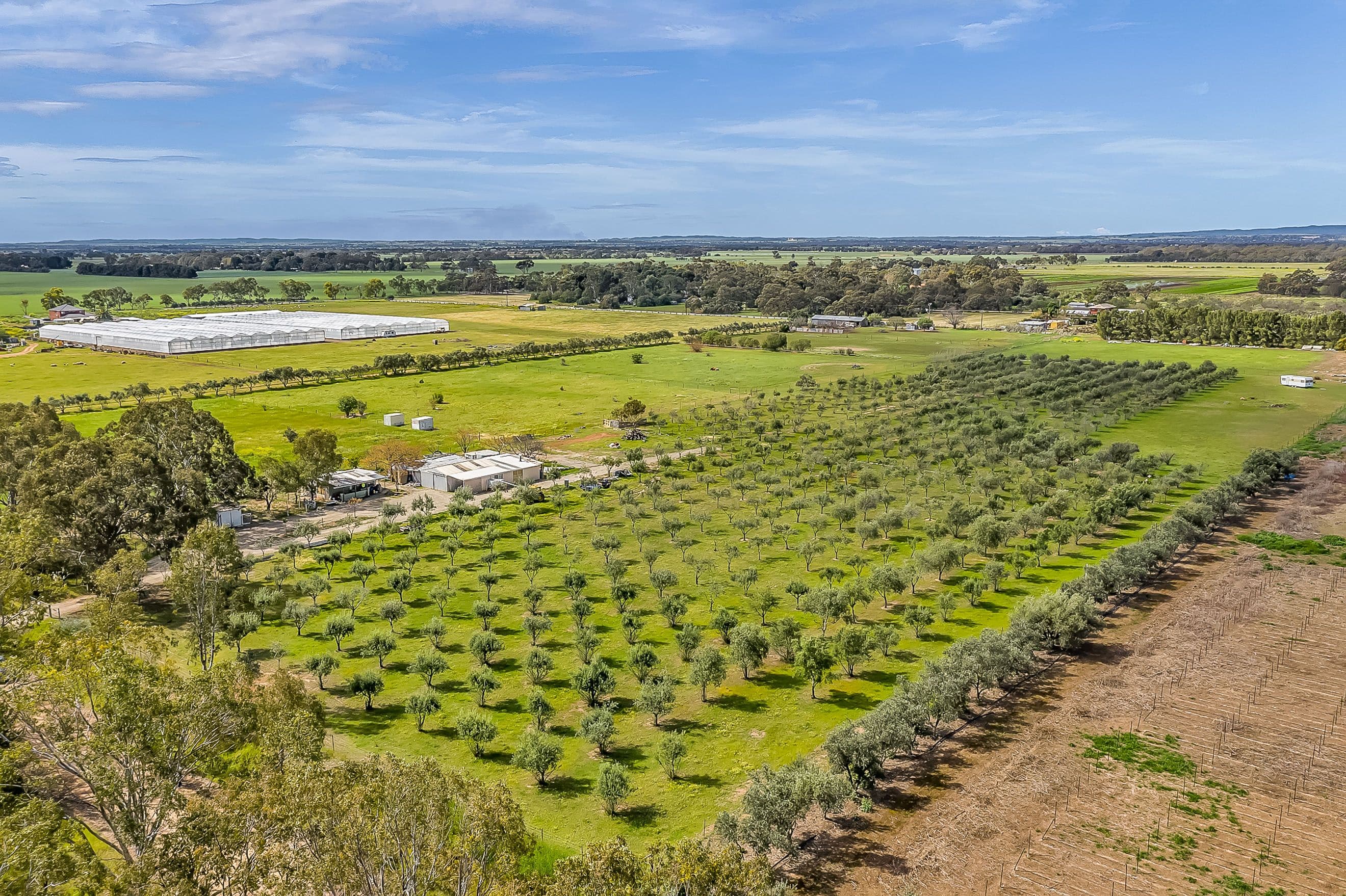 1659 Boundary Road, Gawler River SA 5118, Gawler River - Image 1