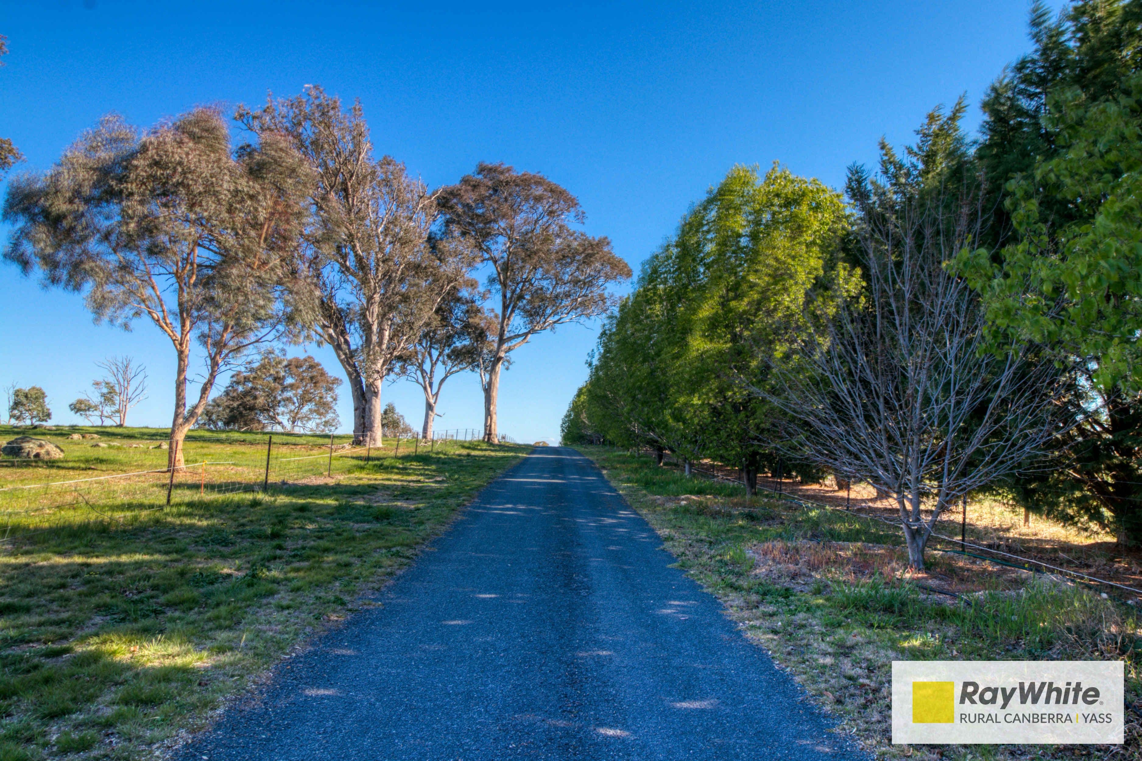 4 Ryslipp Drive, Murrumbateman NSW 2582, Murrumbateman - Thumbnail 7