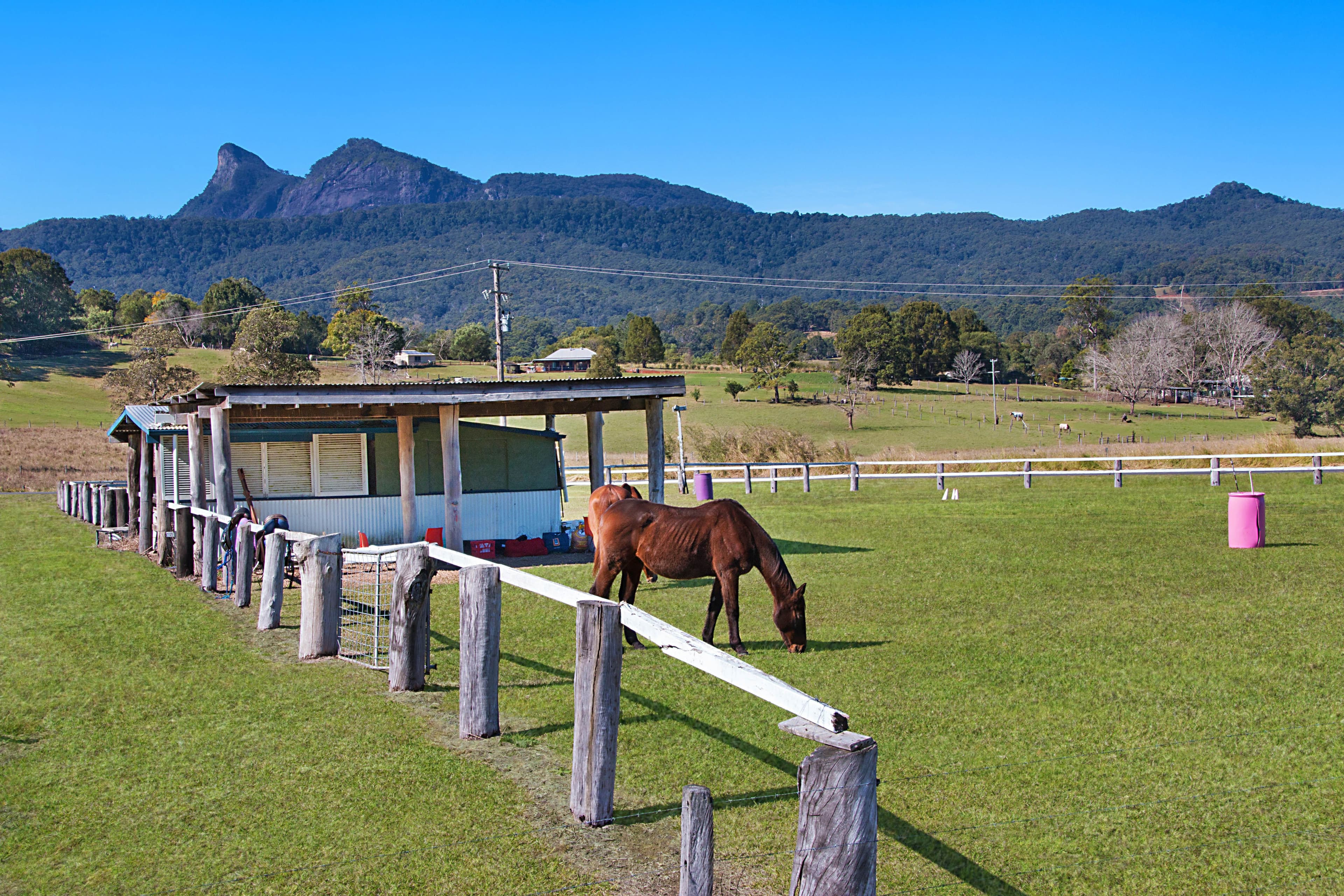32 Yellowood Road, Tyalgum NSW 2484, Tyalgum - Thumbnail 2