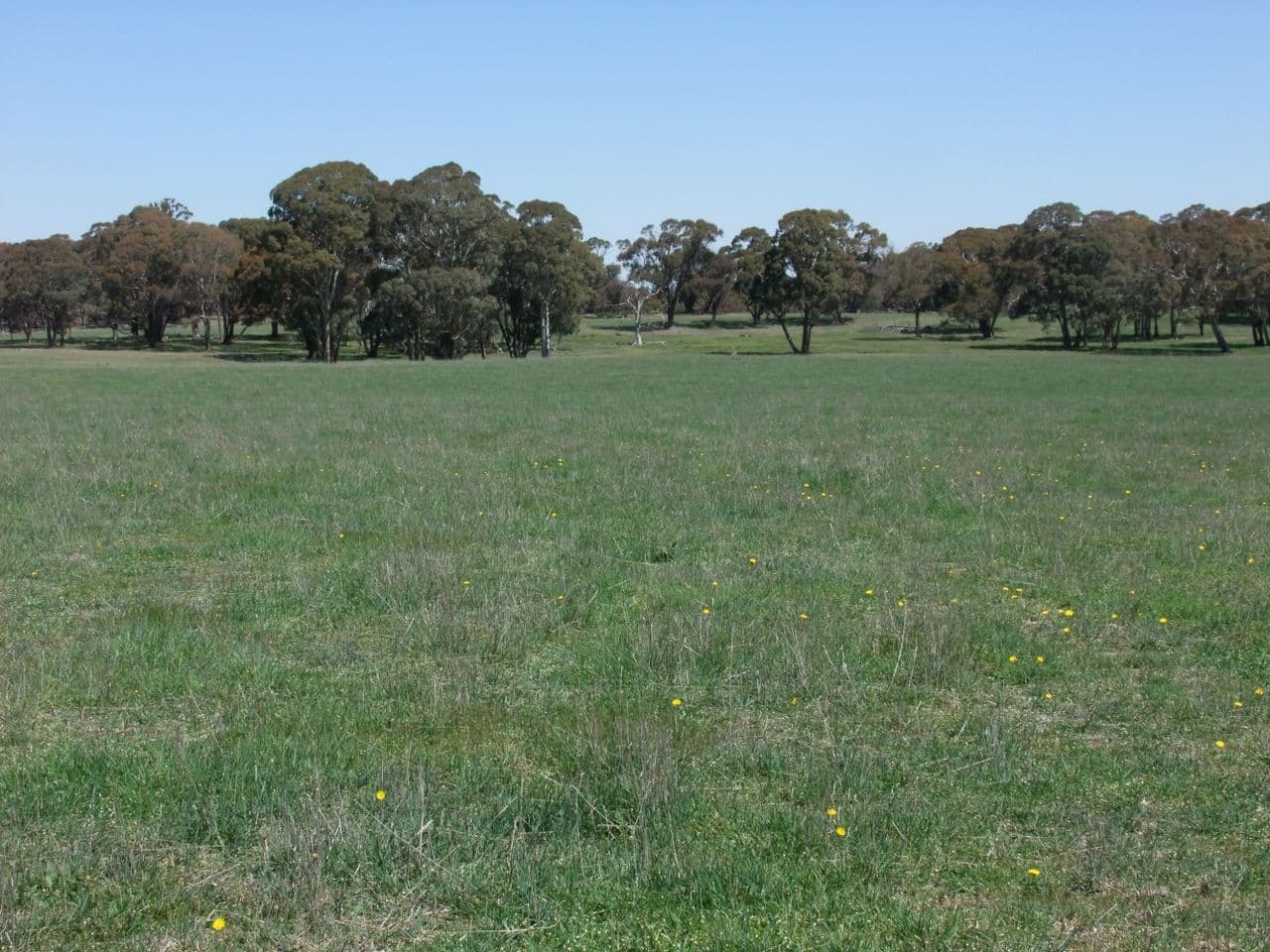 Neville NSW 2799, Neville - Thumbnail 8