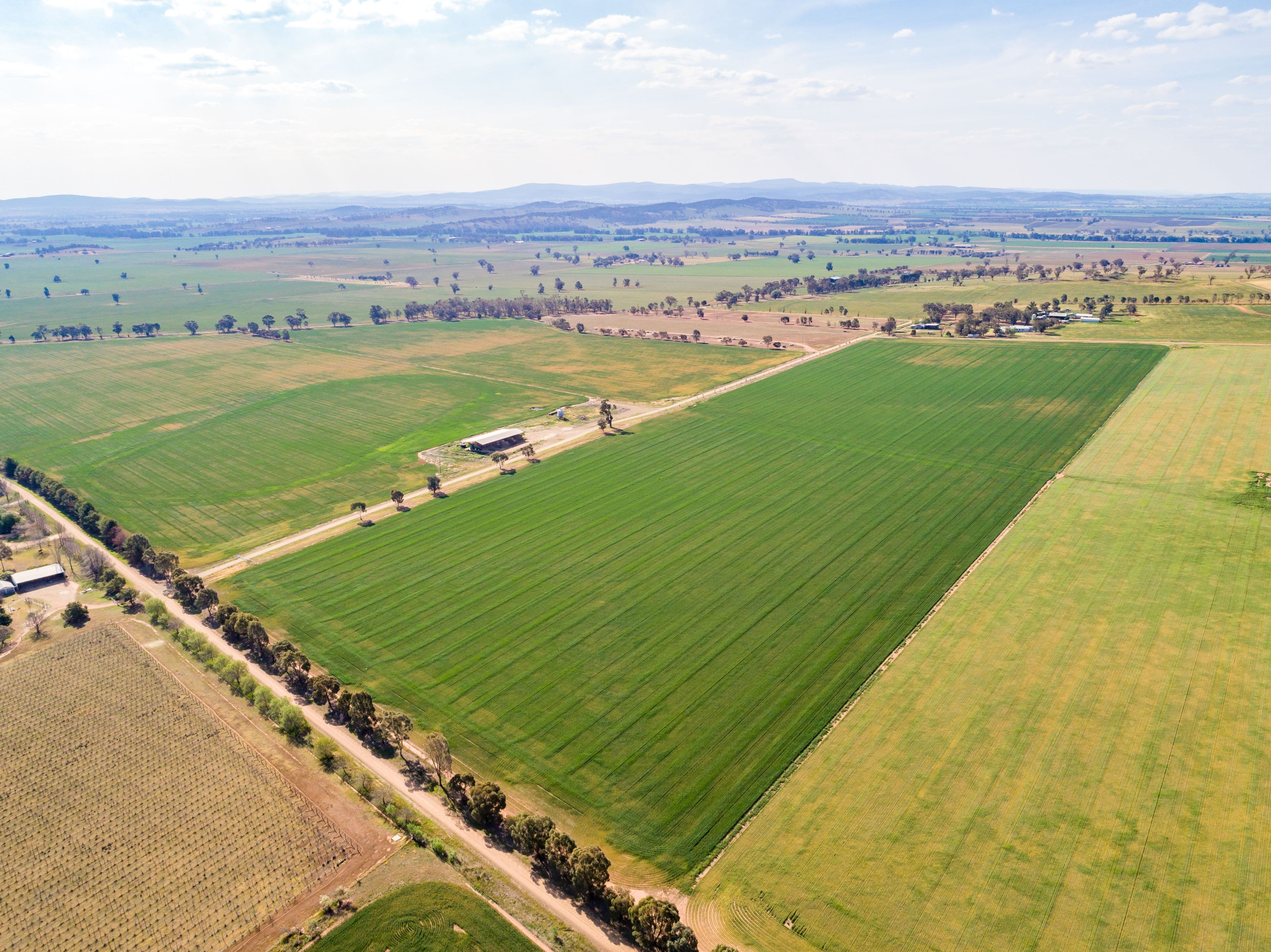 191 Troopers Road, Canowindra NSW 2804, Canowindra - Thumbnail 3