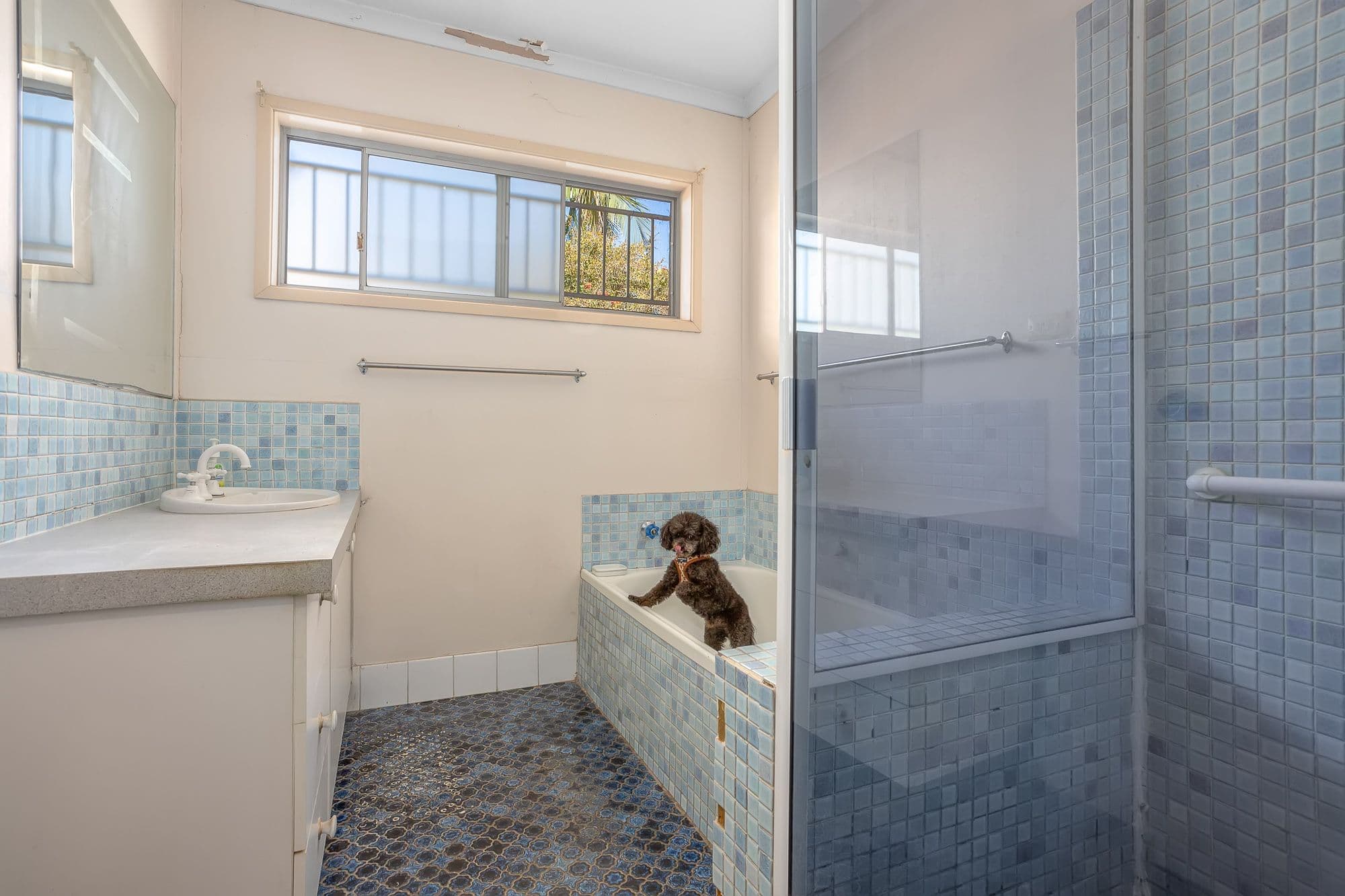 24 Loffs Road, Jamboree Heights QLD 4074, Jamboree Heights - Thumbnail 4