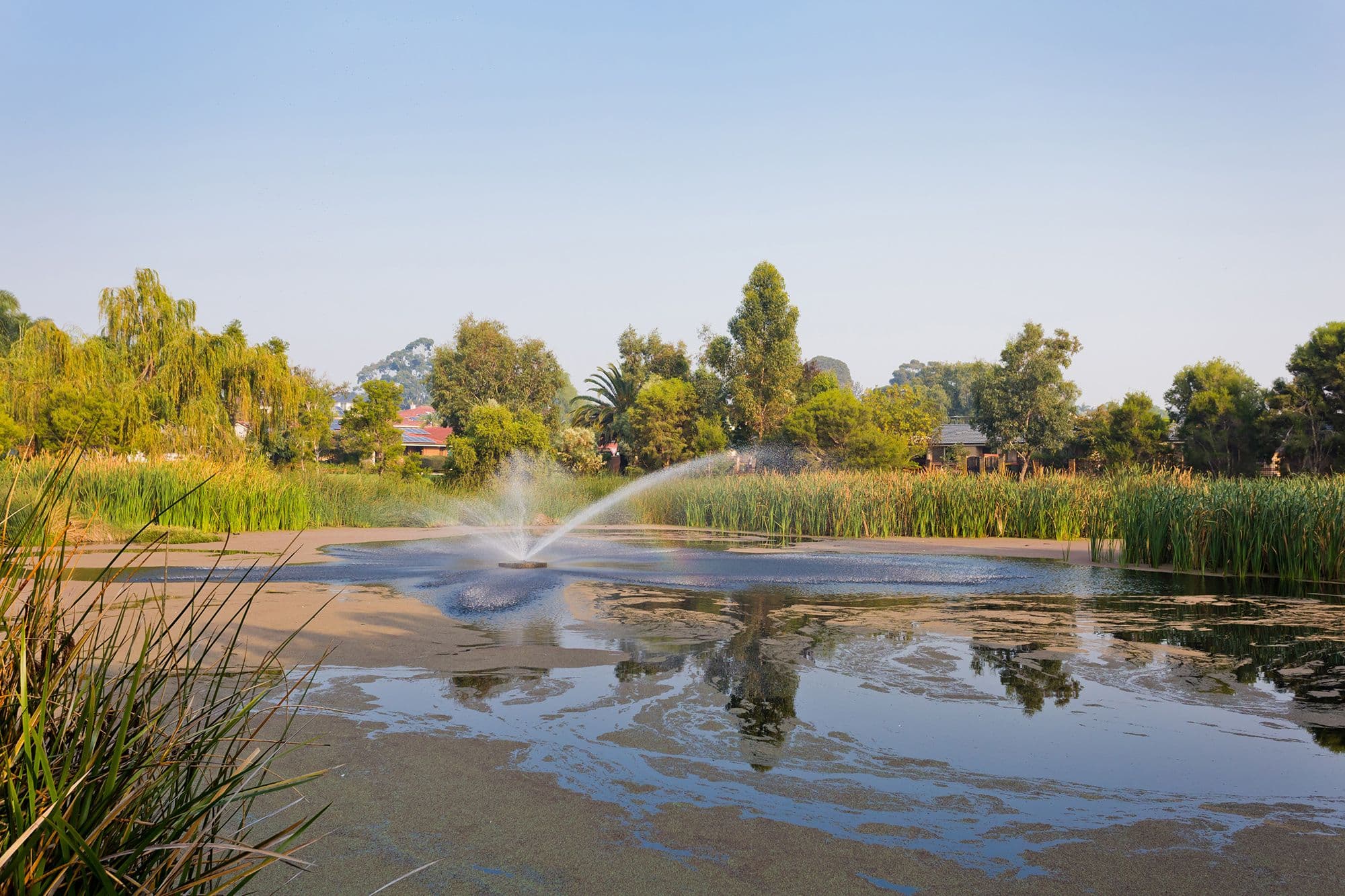 9-11 Toms Court, Bayswater WA 6053, Bayswater - Thumbnail 2