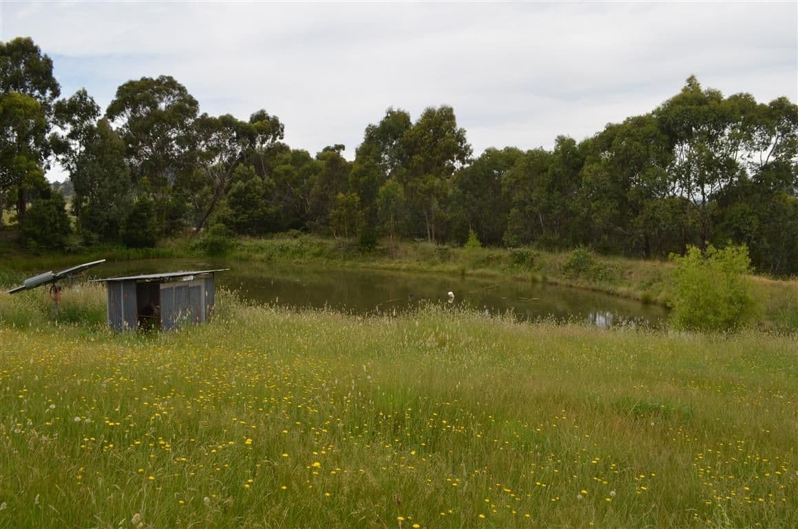 00 'Muttaroo' Mines Road, BATLOW NSW 2730, Batlow - Thumbnail 3