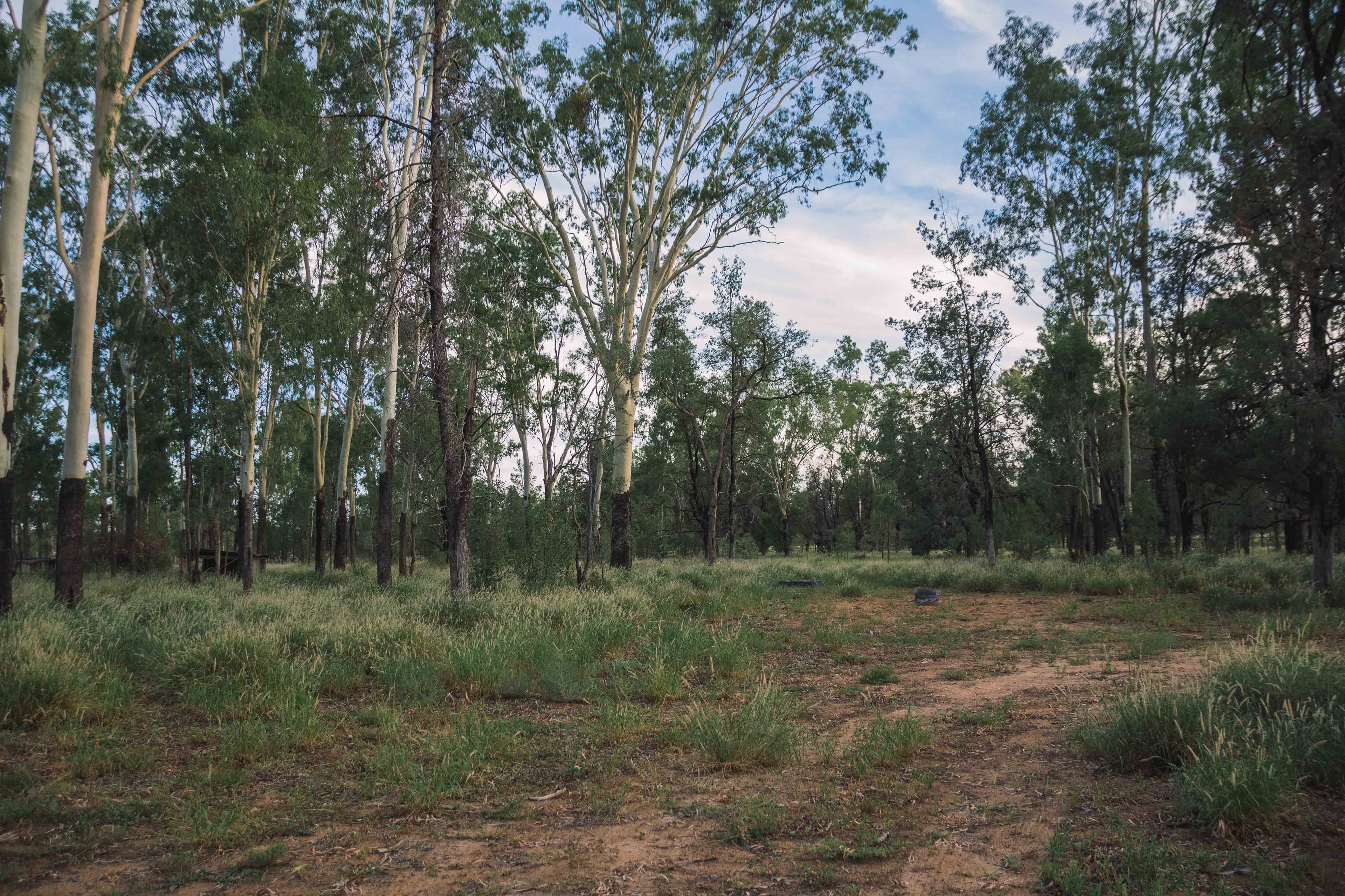 0 Banjarra Drive, Charleville QLD 4470, Charleville - Thumbnail 5