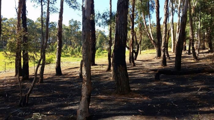 Nannup WA 6275, Nannup - Thumbnail 5