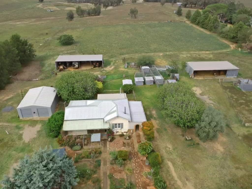 93 Prunevale Road Kingsvale, Young NSW 2594, Young - Image 1