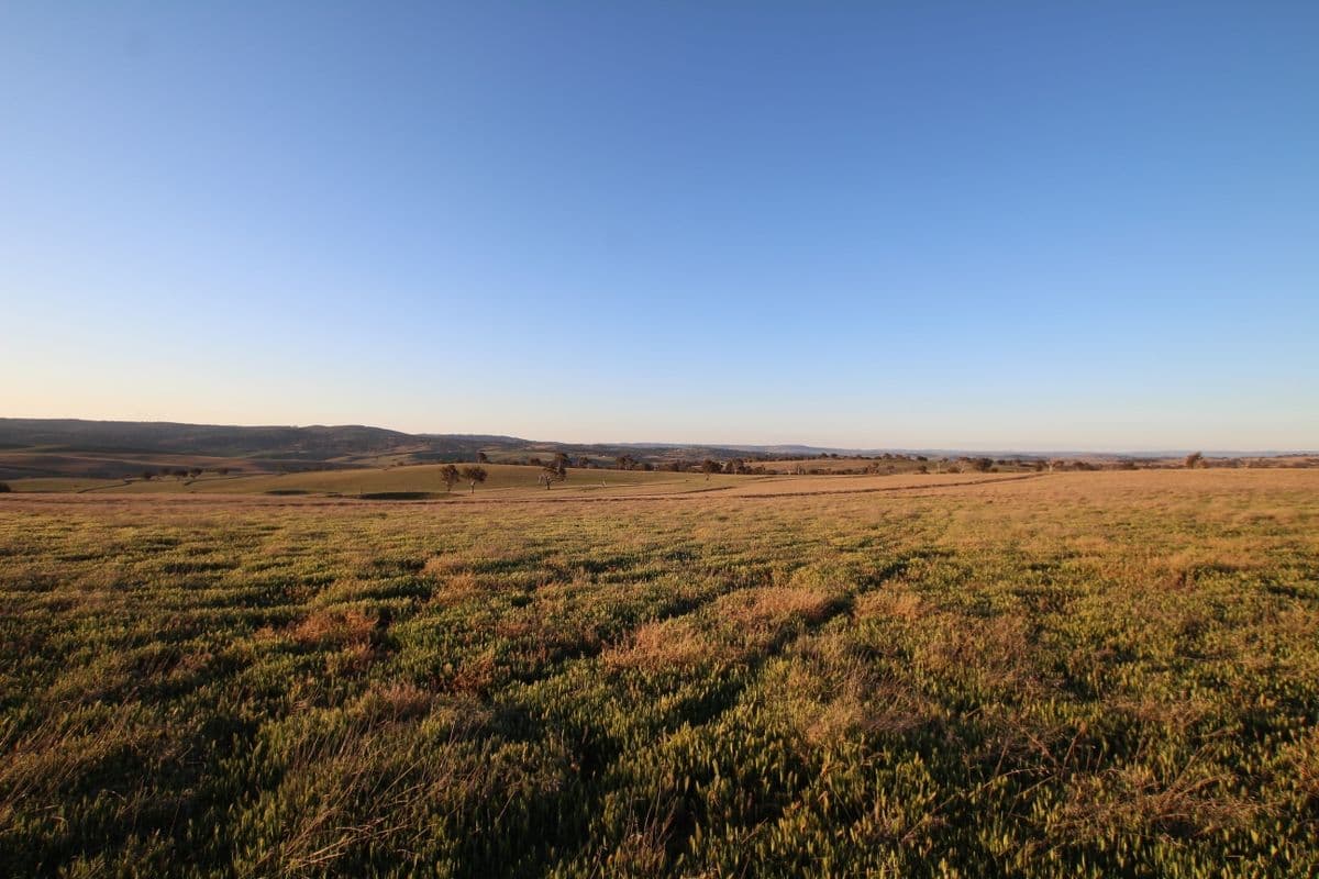 374 Wimbledon Road, Bathurst NSW 2795, Bathurst - Image 1