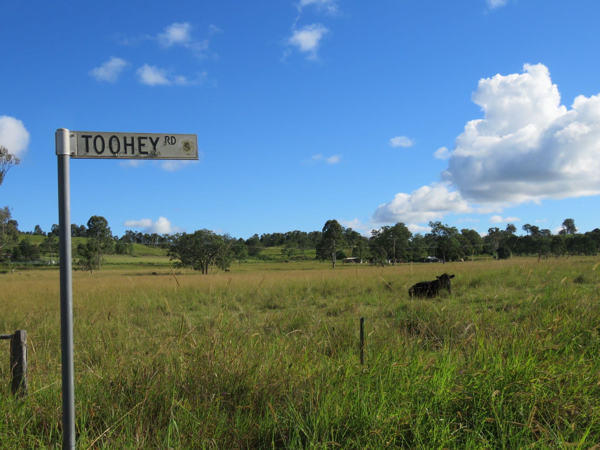 1 Toohey Road, Caniaba NSW 2480, Caniaba - Thumbnail 2