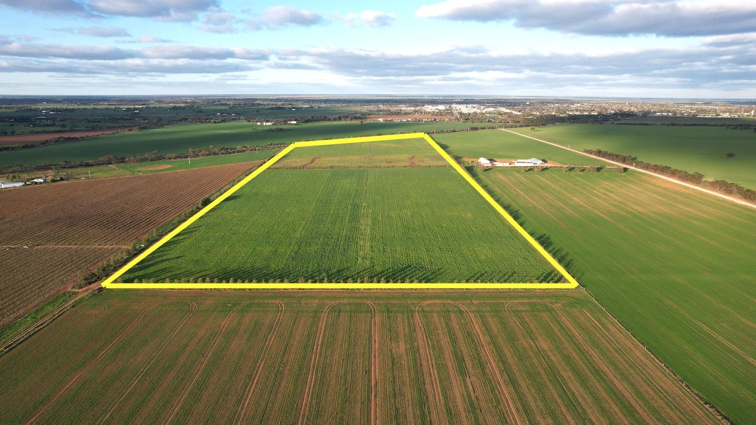 345 Woorinen Road, Swan Hill VIC 3585, Swan Hill - Thumbnail 3