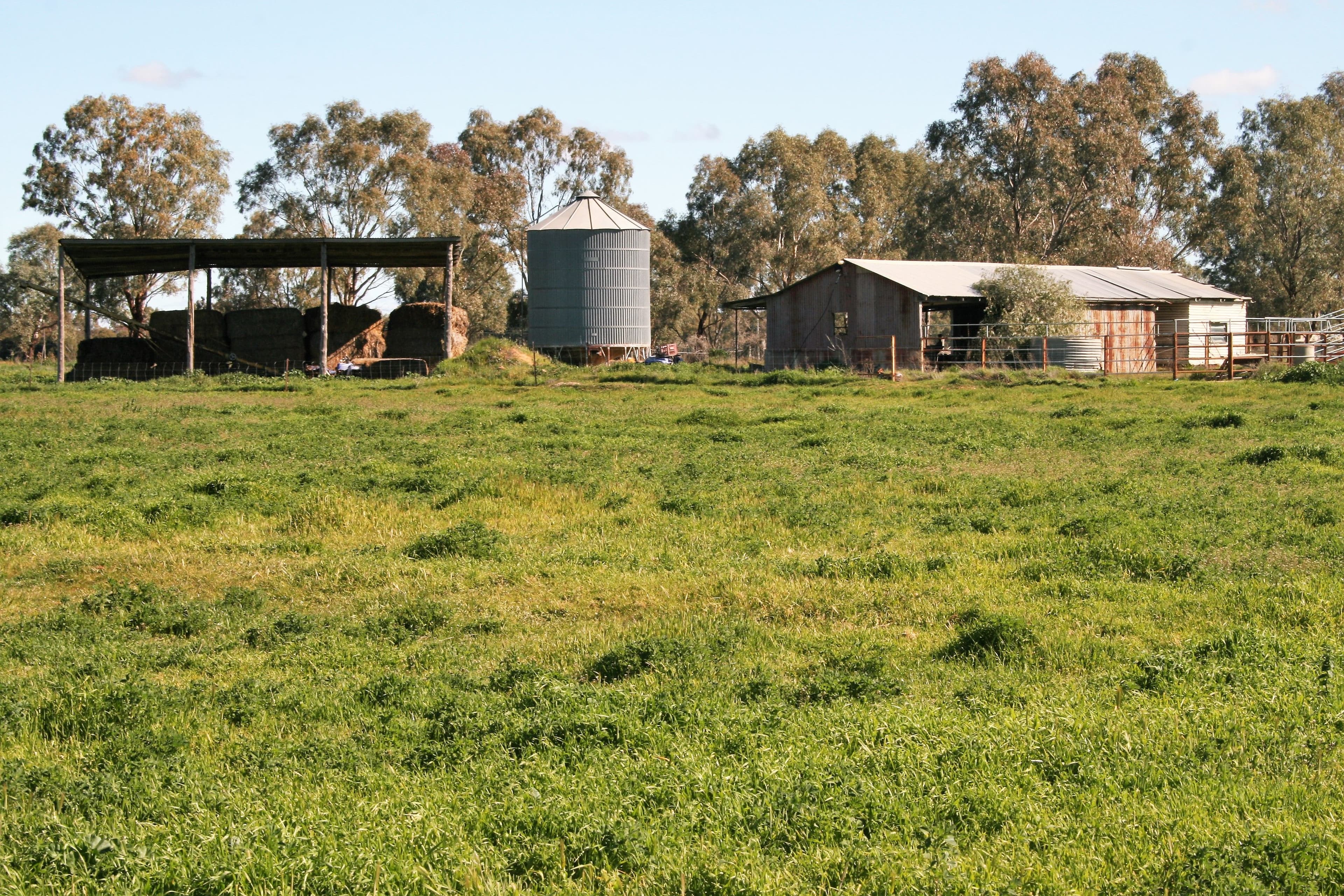 00 Minard Lane, Bamawm VIC 3561, Bamawm - Thumbnail 2