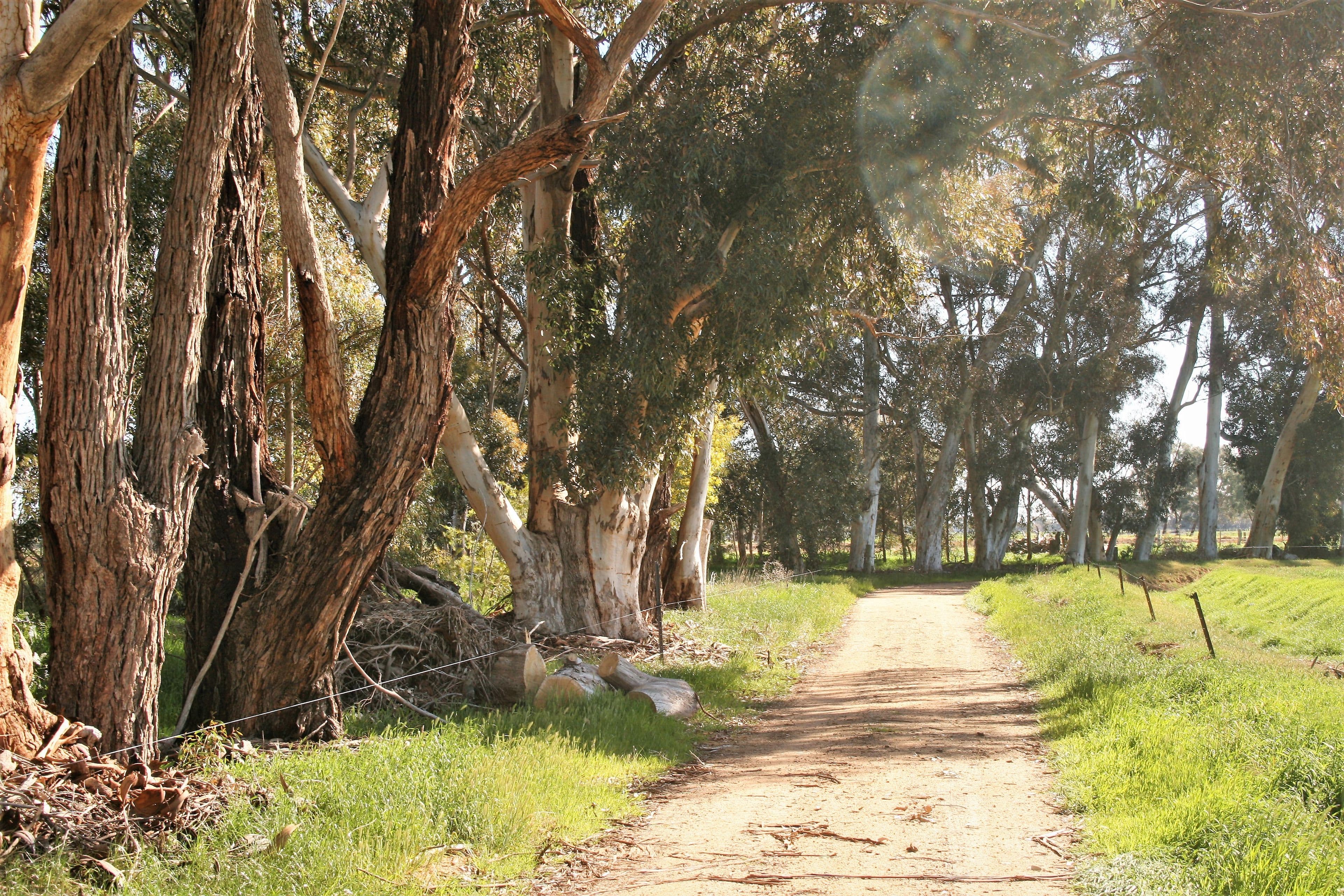 00 Minard Lane, Bamawm VIC 3561, Bamawm - Thumbnail 6