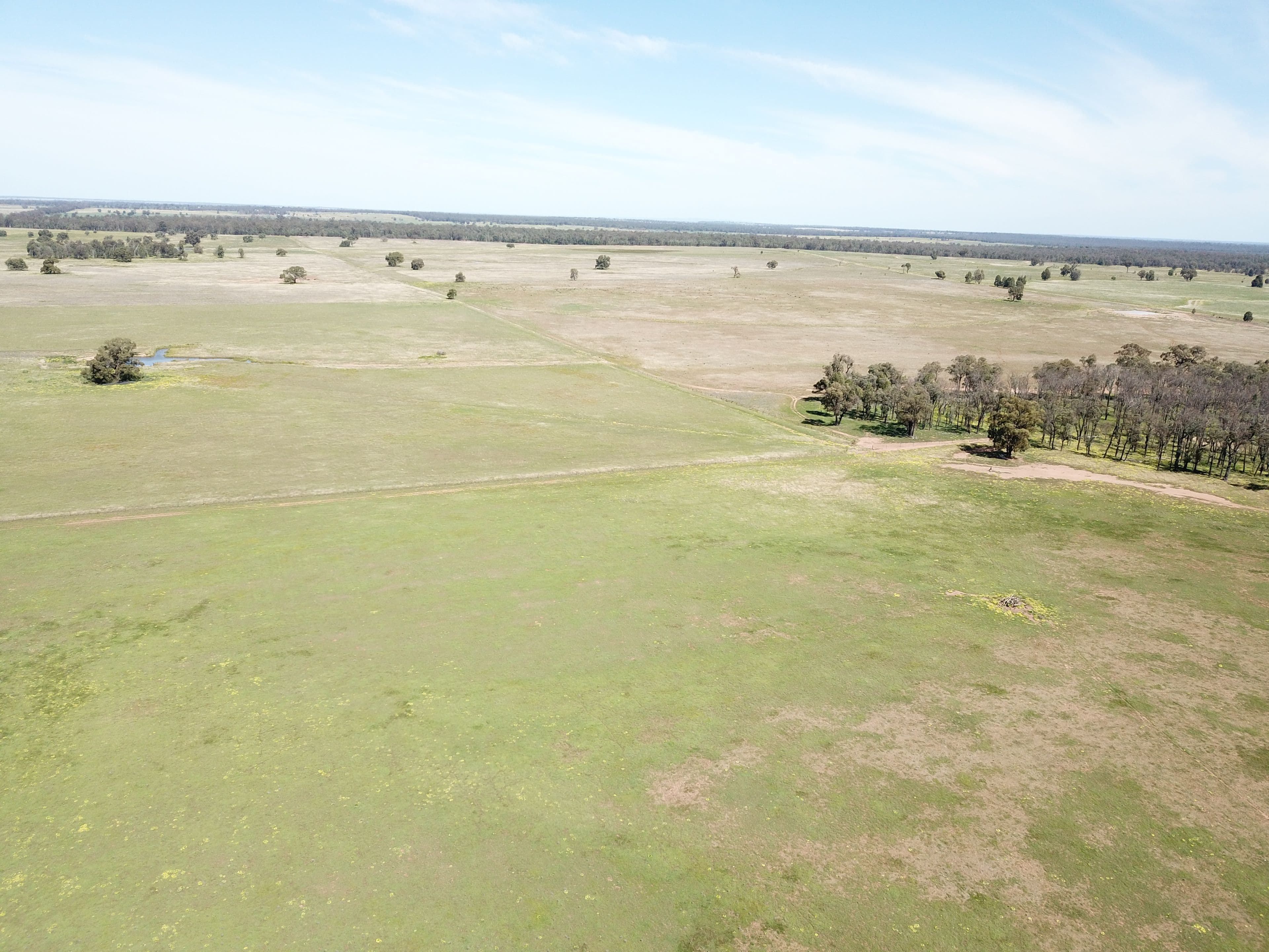 'Windeena' 802 Milpulling Road, Gilgandra NSW 2827, Gilgandra - Thumbnail 5
