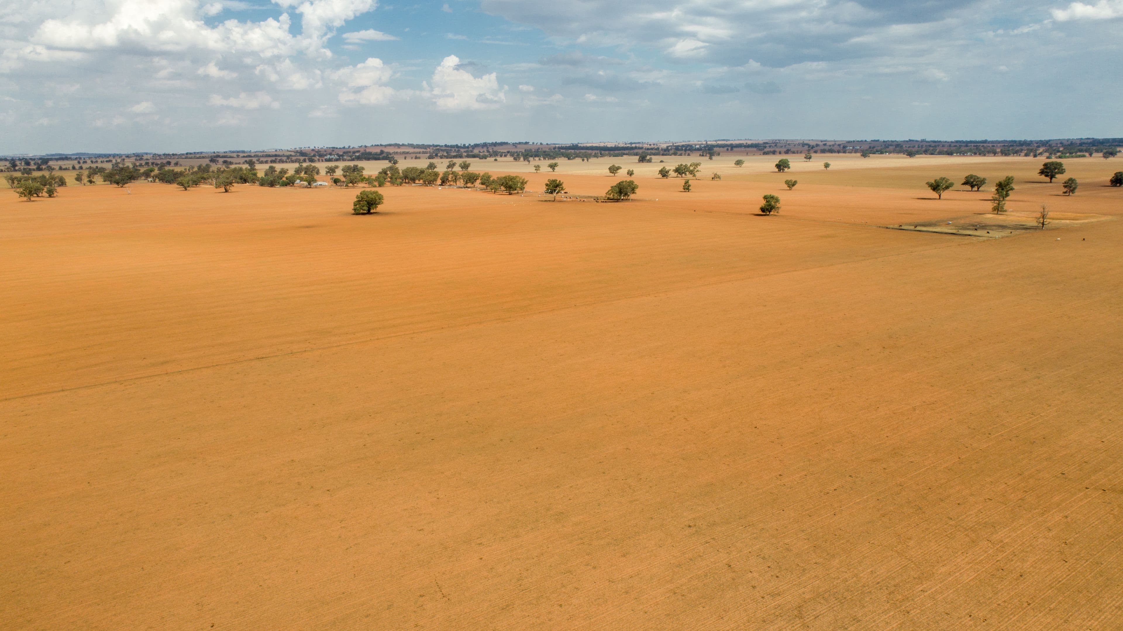 Coolamon NSW 2701, Coolamon - Image 1