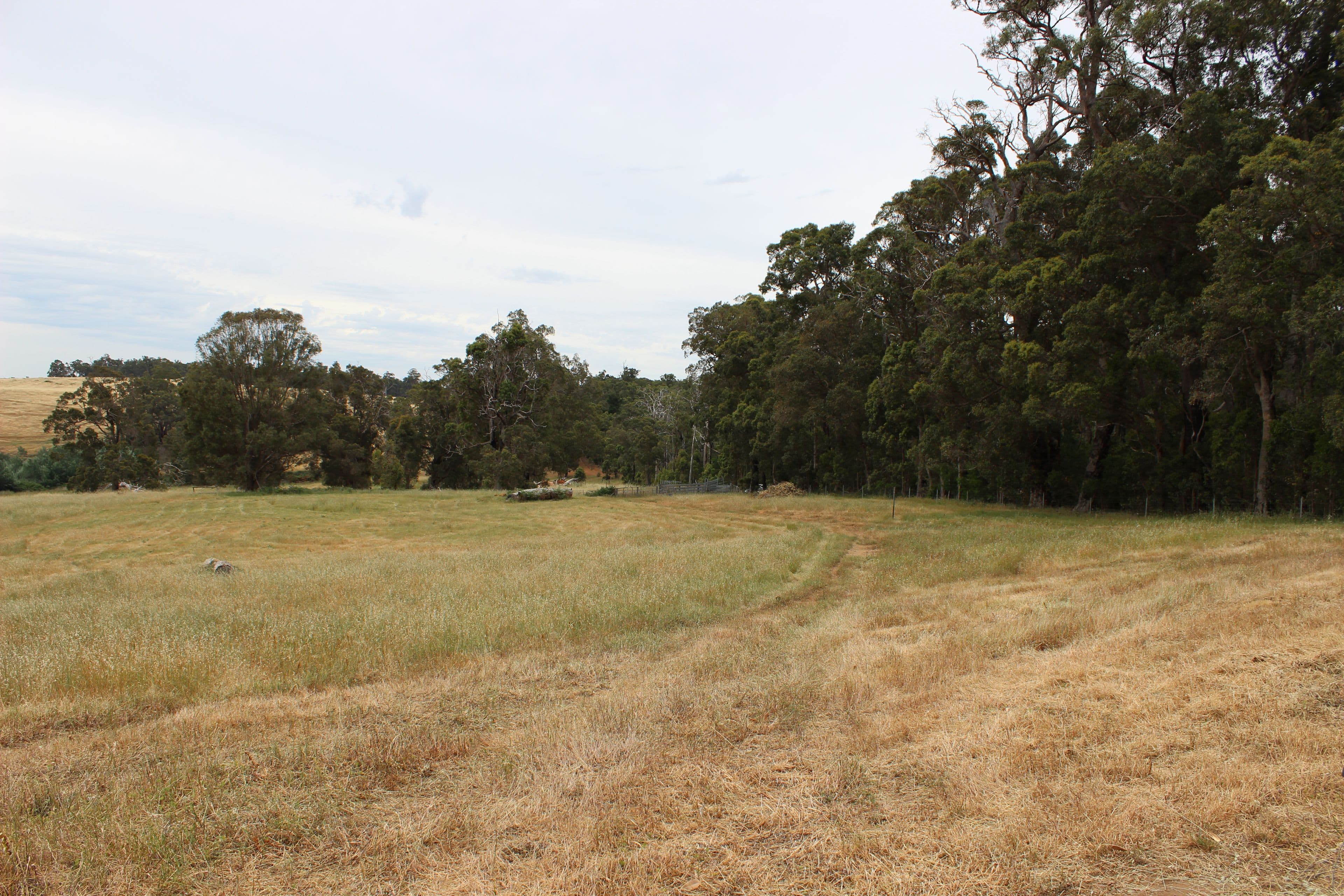 Bridgetown WA 6255, Bridgetown - Image 1