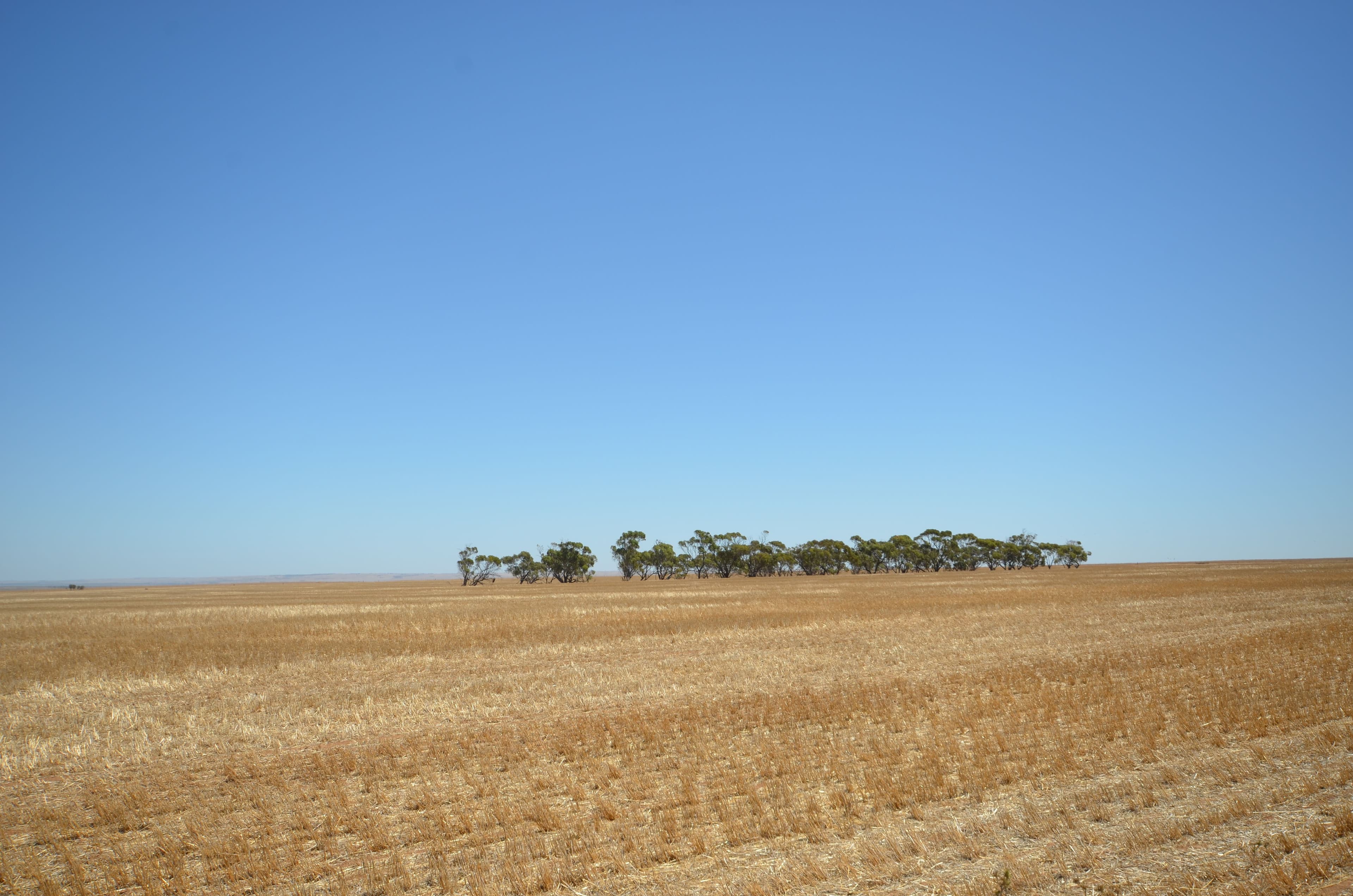 "Forrest" Dohse Road, South Hummocks SA 5550, South Hummocks - Thumbnail 5