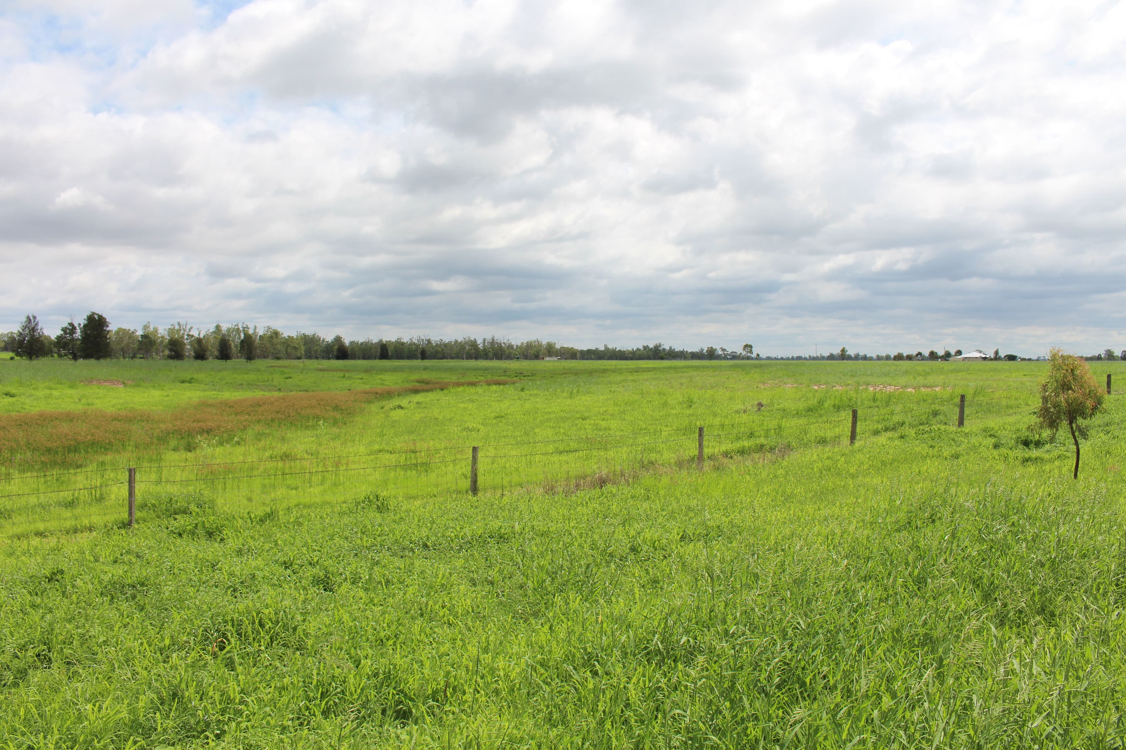 7852 Gore Highway, Millmerran QLD 4357, Millmerran - Thumbnail 4