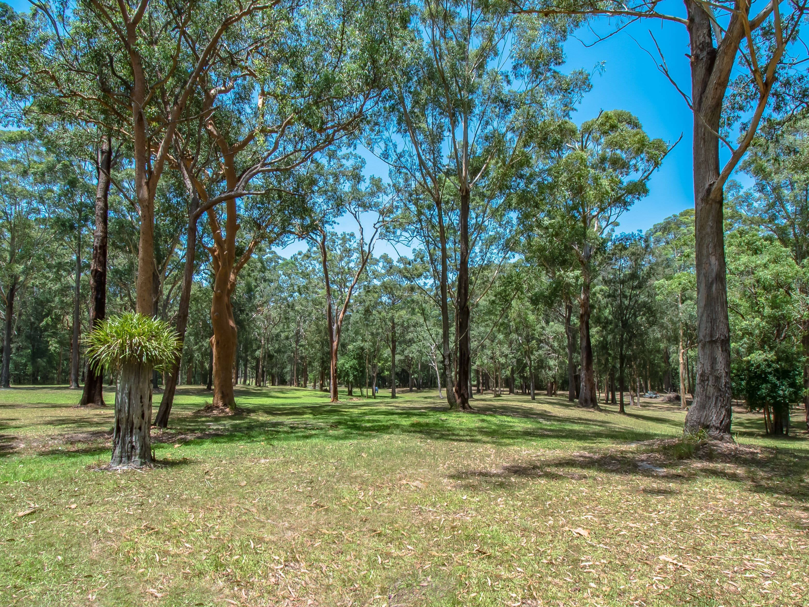 355 Mount Nellinda Road, Cooranbong NSW 2265, Cooranbong - Thumbnail 2