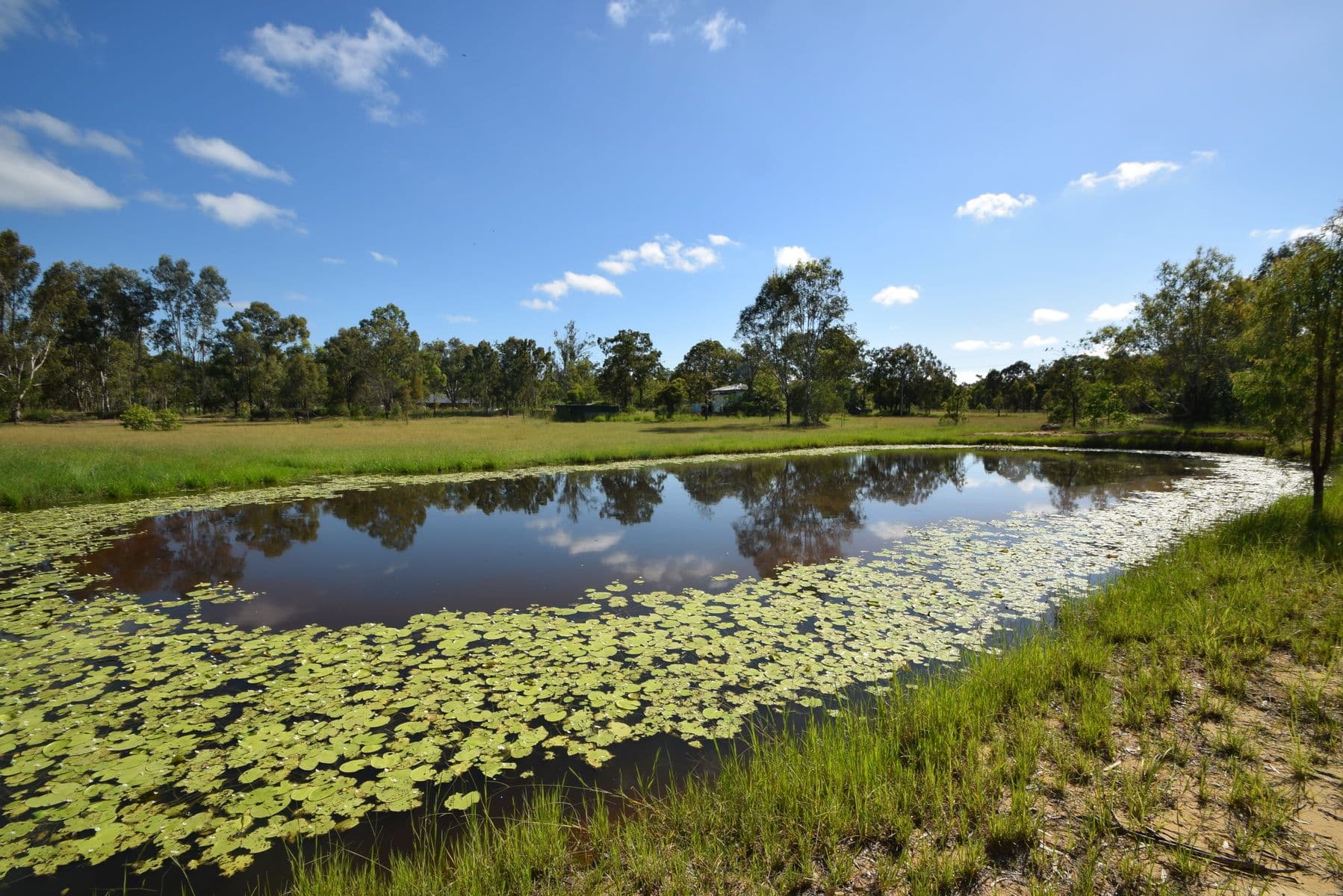 562 Coominya Connection Road, Coominya QLD 4311, Coominya - Thumbnail 2