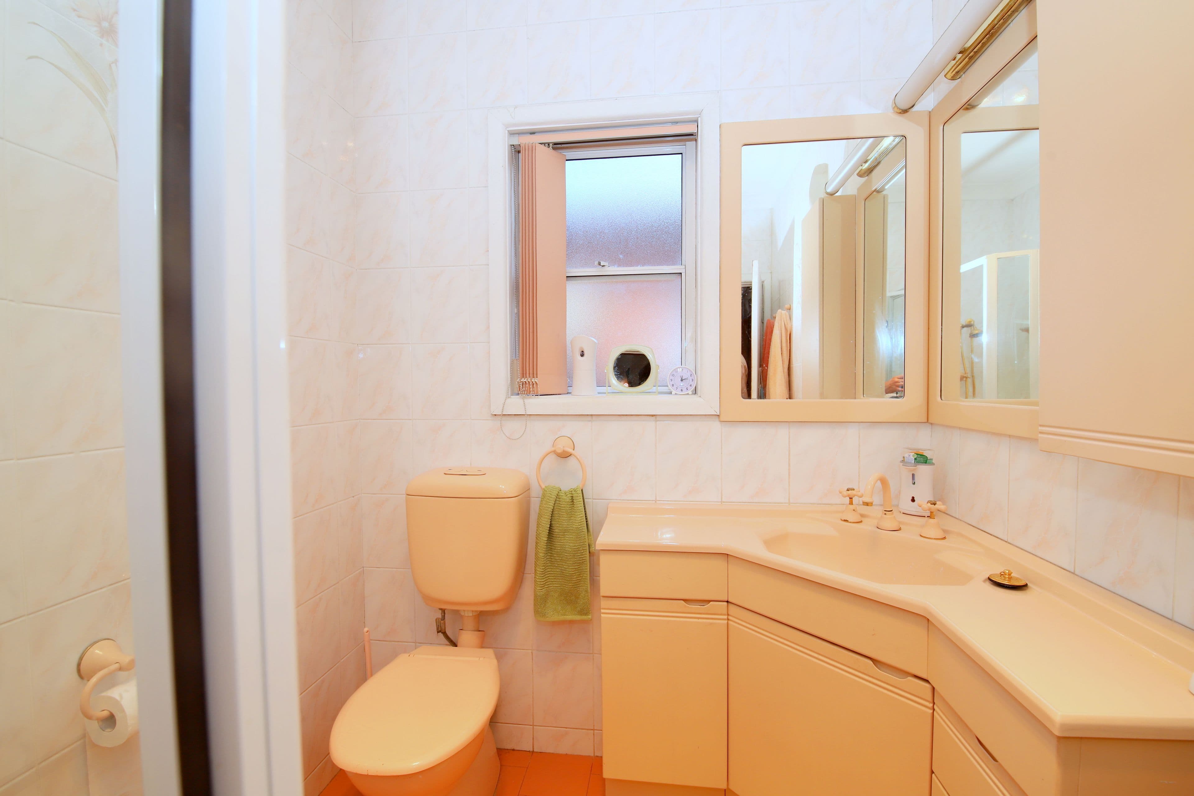 56 Chester Hill Road, Chester Hill - Thumbnail 7