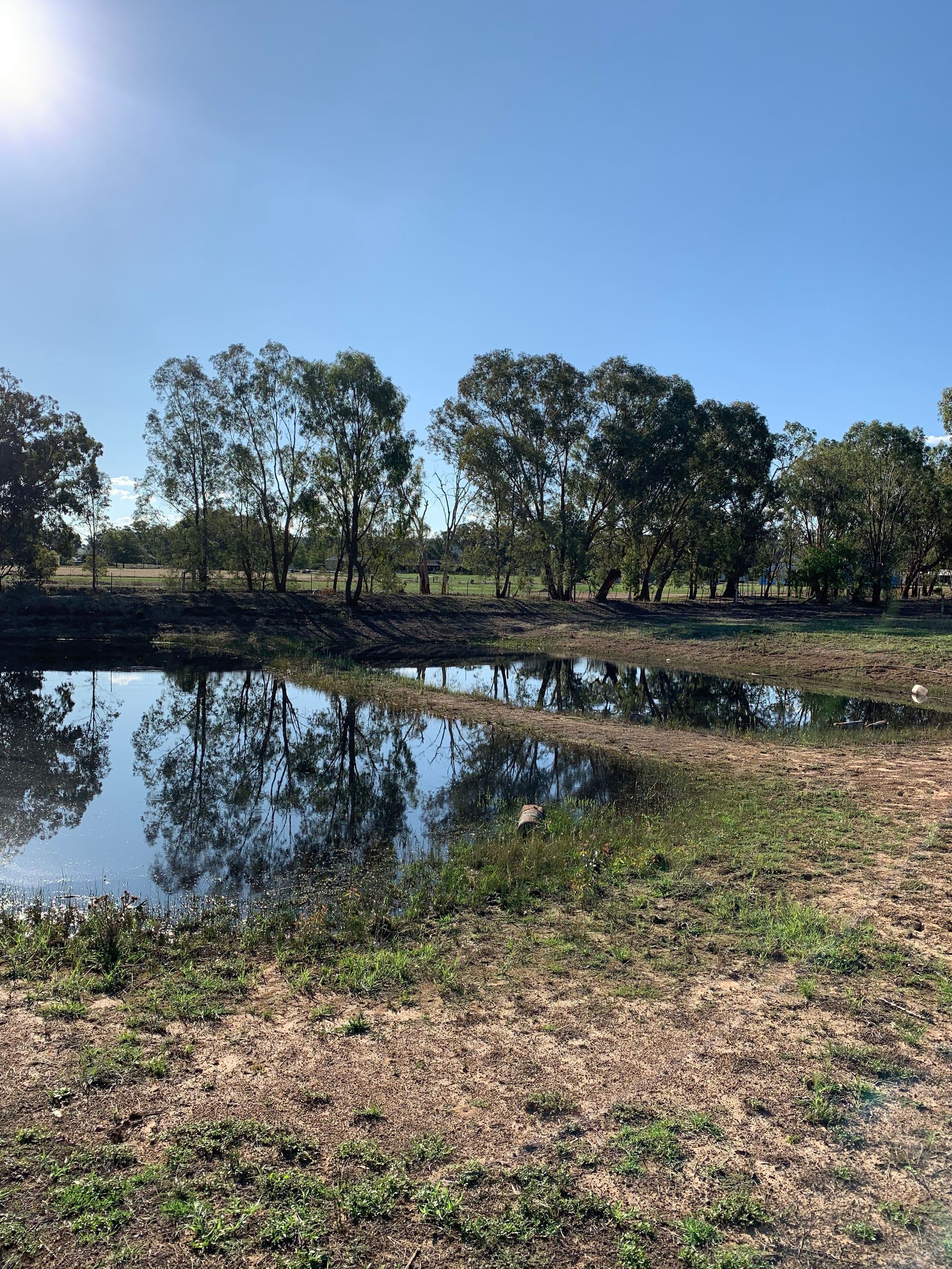 82A Thomas Street, Gerogery NSW 2642, Gerogery - Thumbnail 5