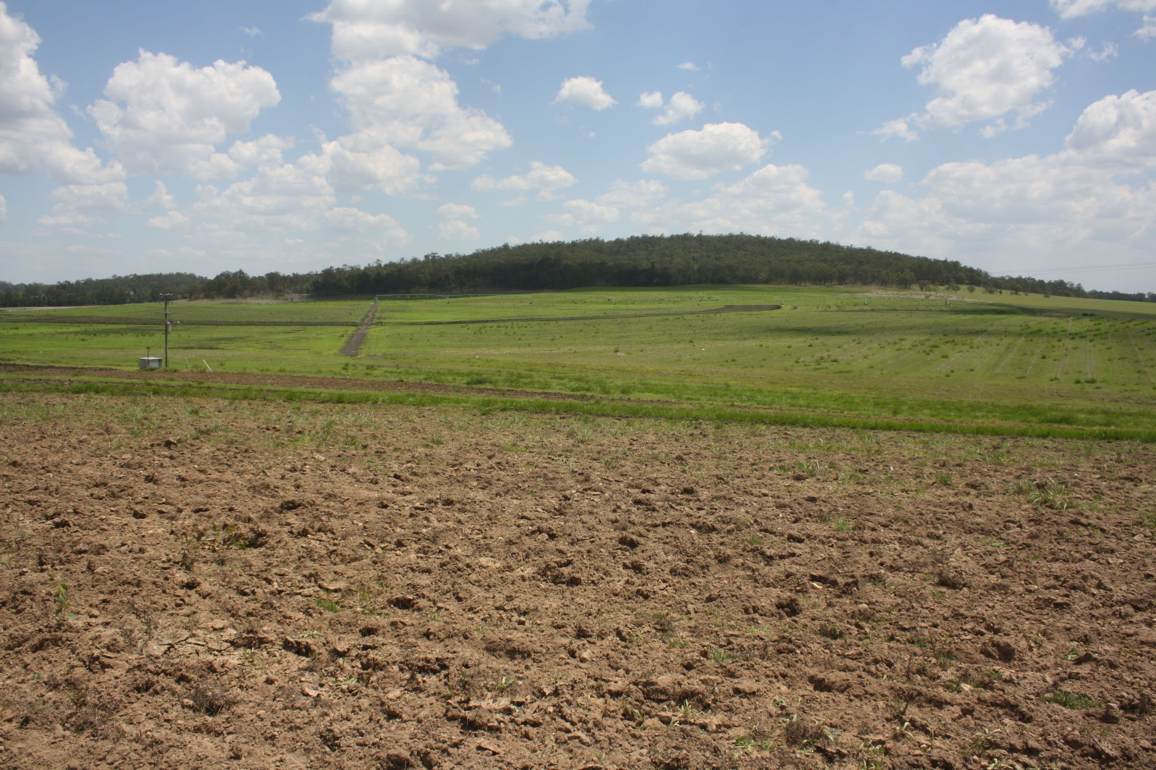 'Aplins' Delan Rd, Delan, Gin Gin QLD 4671, Gin Gin - Thumbnail 8