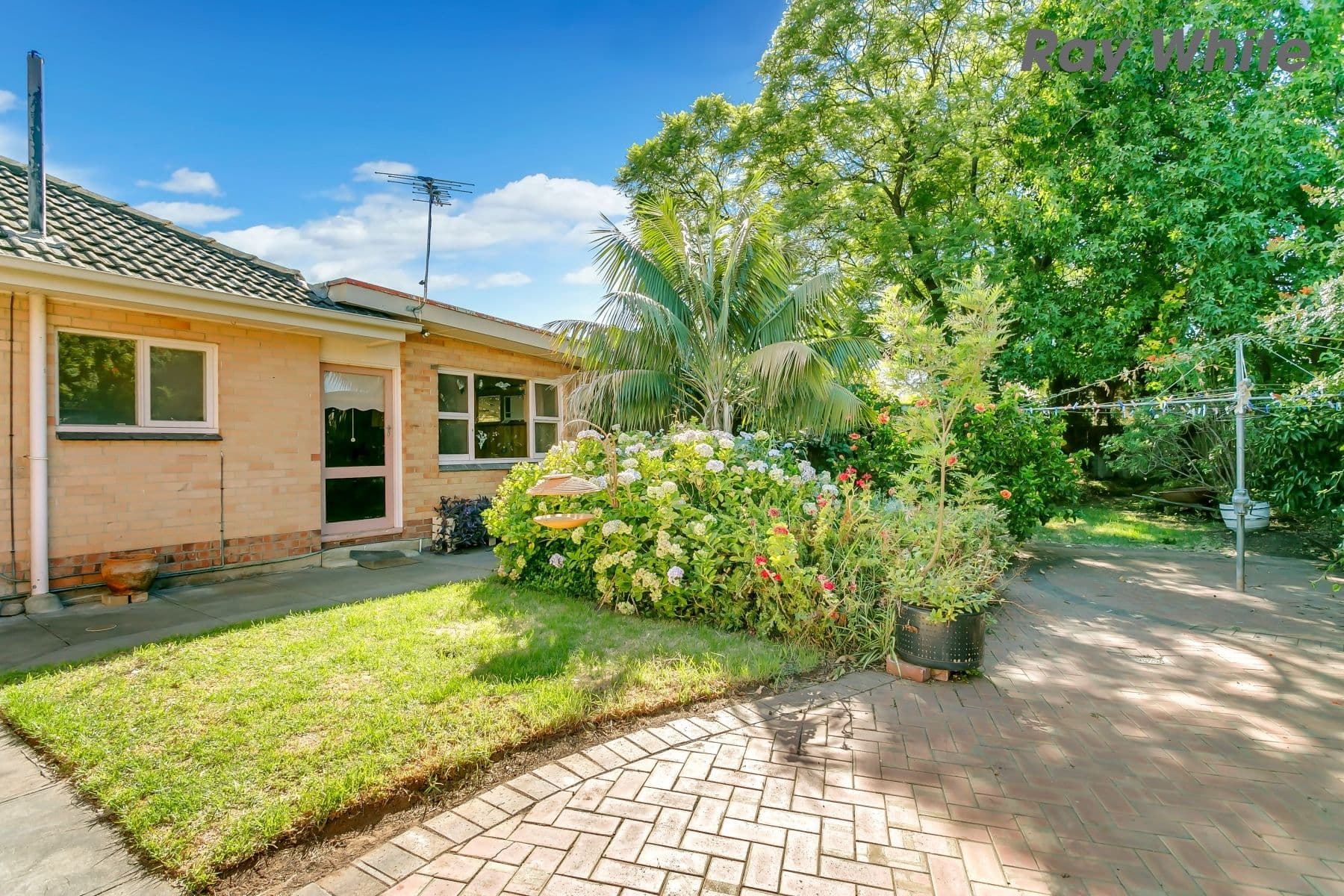 29 Oakleigh Road, Marion SA 5043, Marion - Thumbnail 5