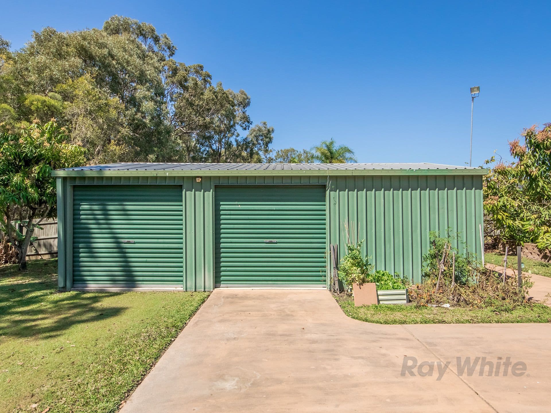16 Podinga Circuit, Ormeau QLD 4208, Ormeau - Thumbnail 3