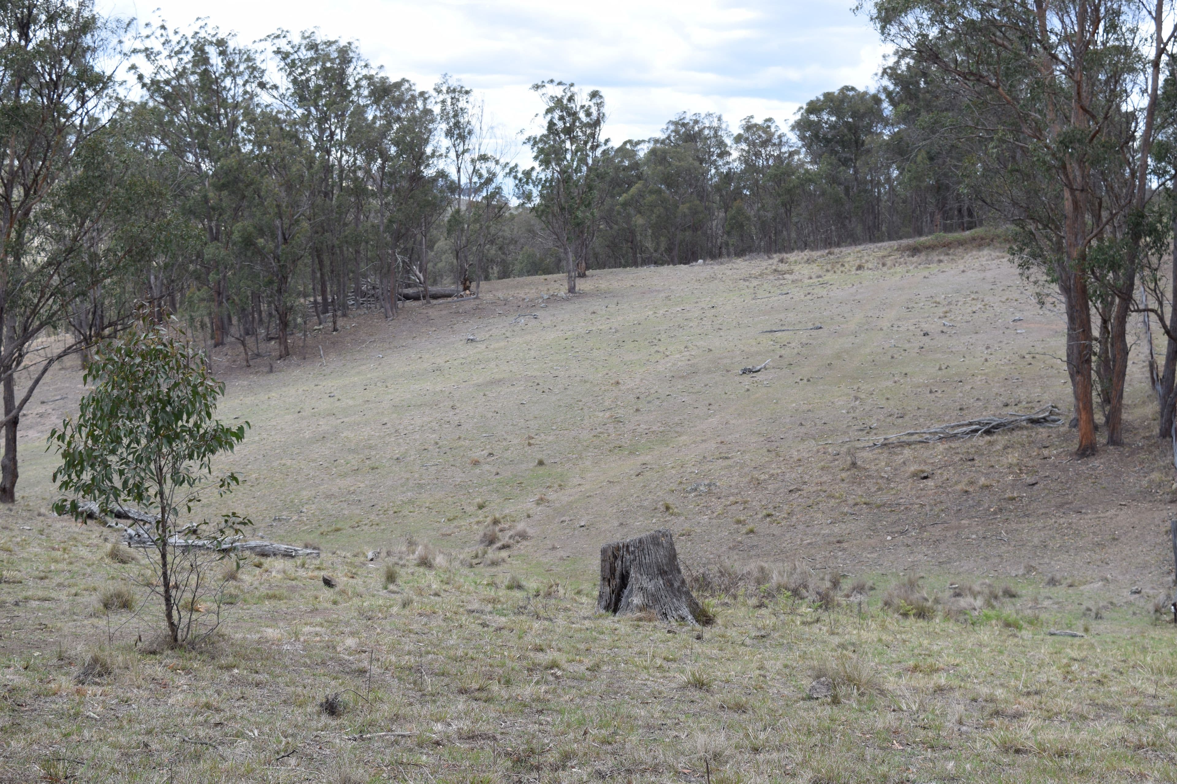 13419 Kempsey Road, Wollomombi NSW 2350, Wollomombi - Thumbnail 5
