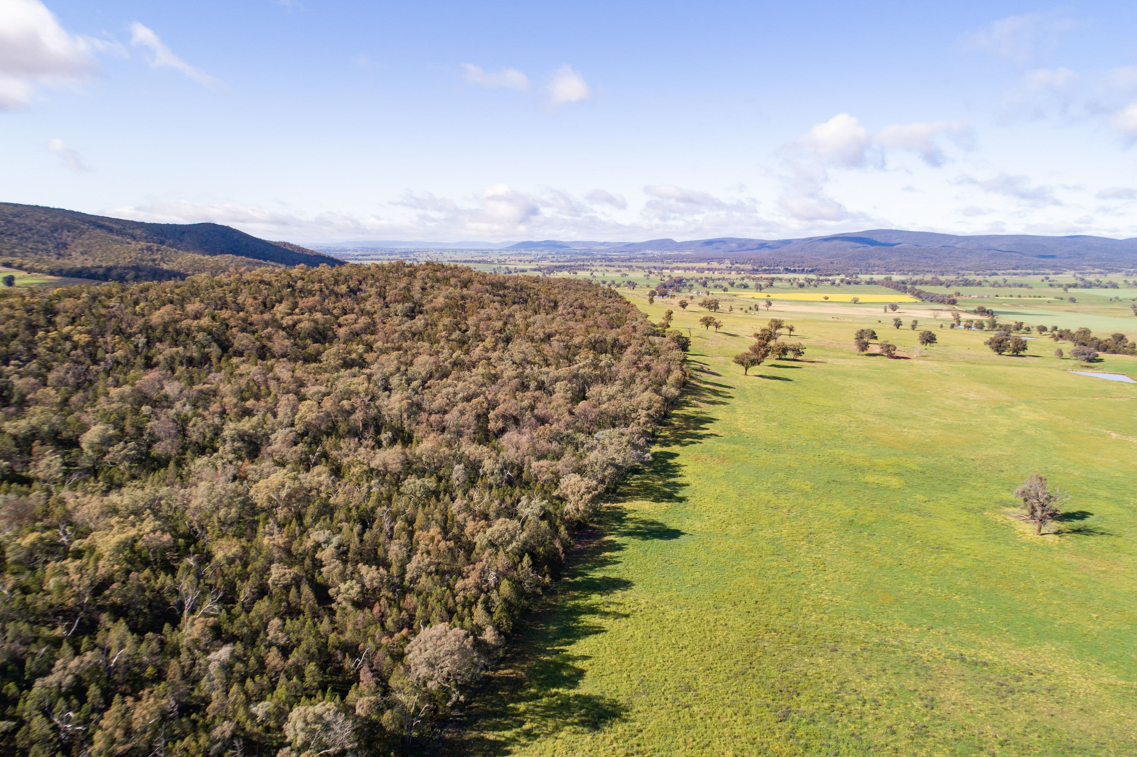 Jayton North' Fragar Road, COWRA NSW 2794, Cowra - Thumbnail 6