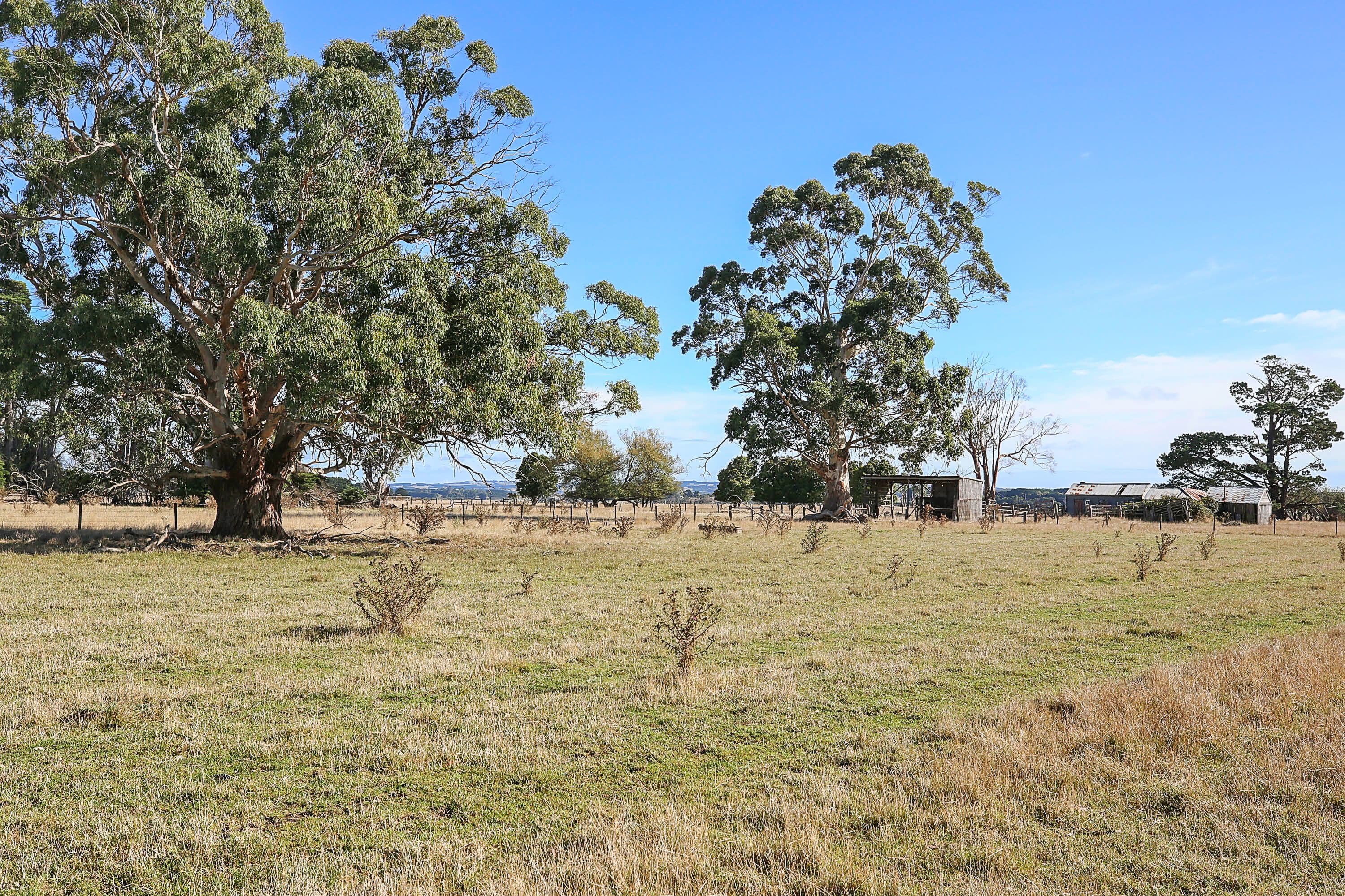 331 Nehill and Alexanders Road, South Purrumbete VIC 3260, South Purrumbete - Thumbnail 7