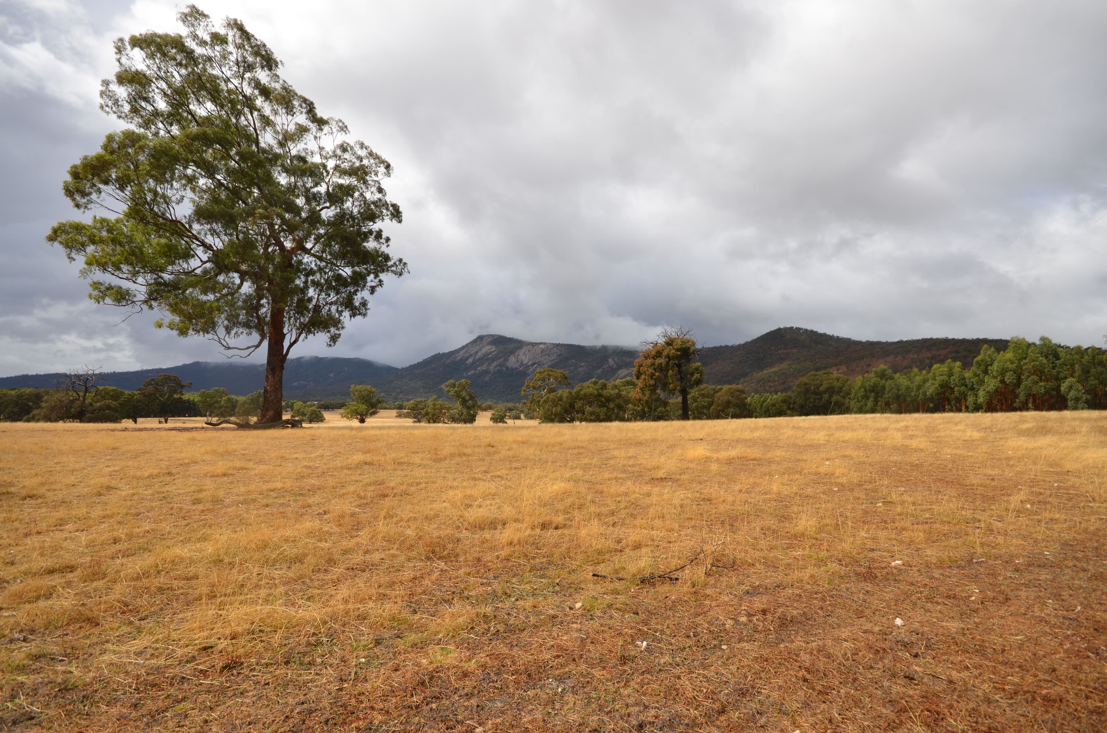 "Price" Feud Road, EVERSLEY VIC 3377, Eversley - Thumbnail 7
