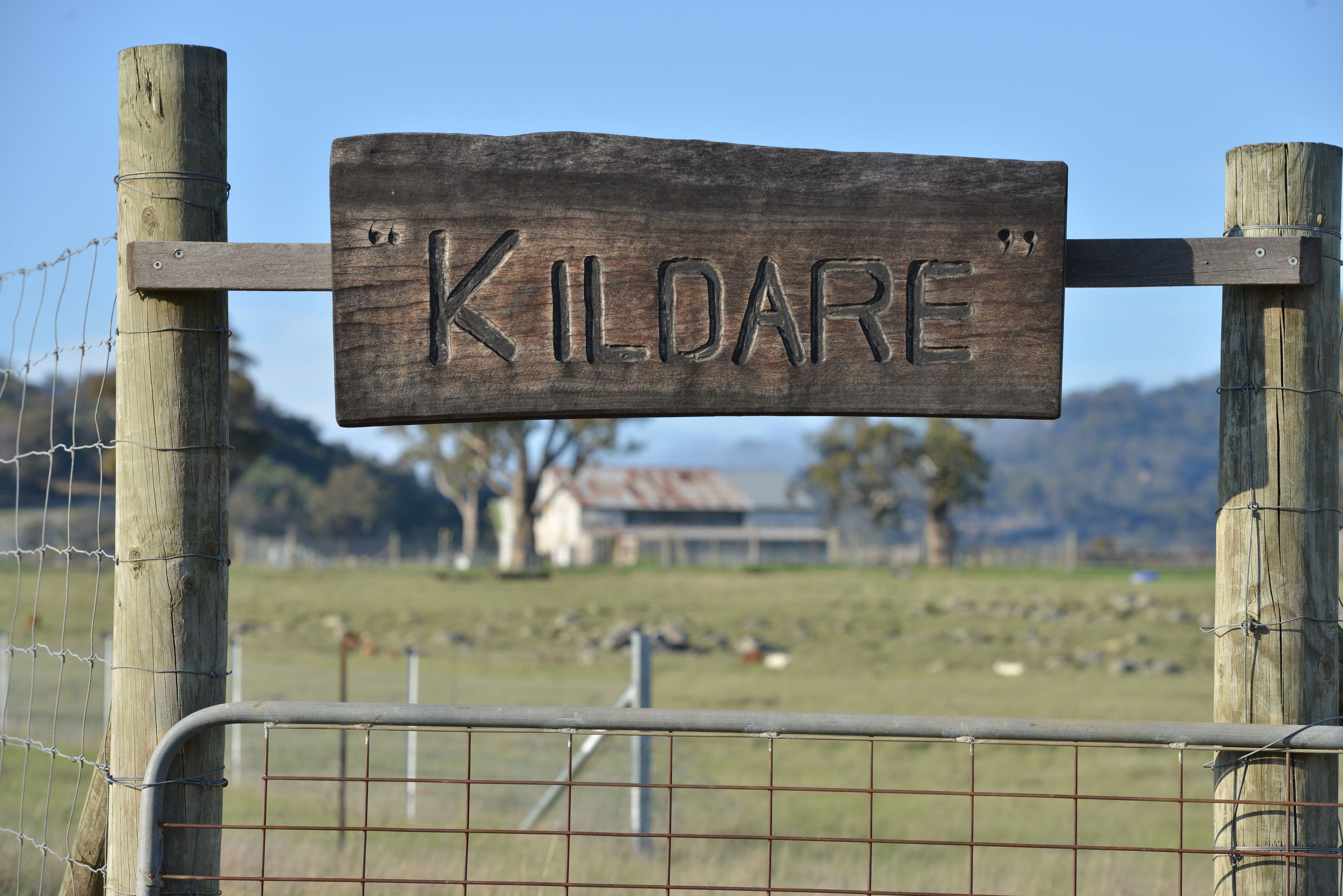 924a Kildare Road, Tenterfield NSW 2372, Tenterfield - Thumbnail 2