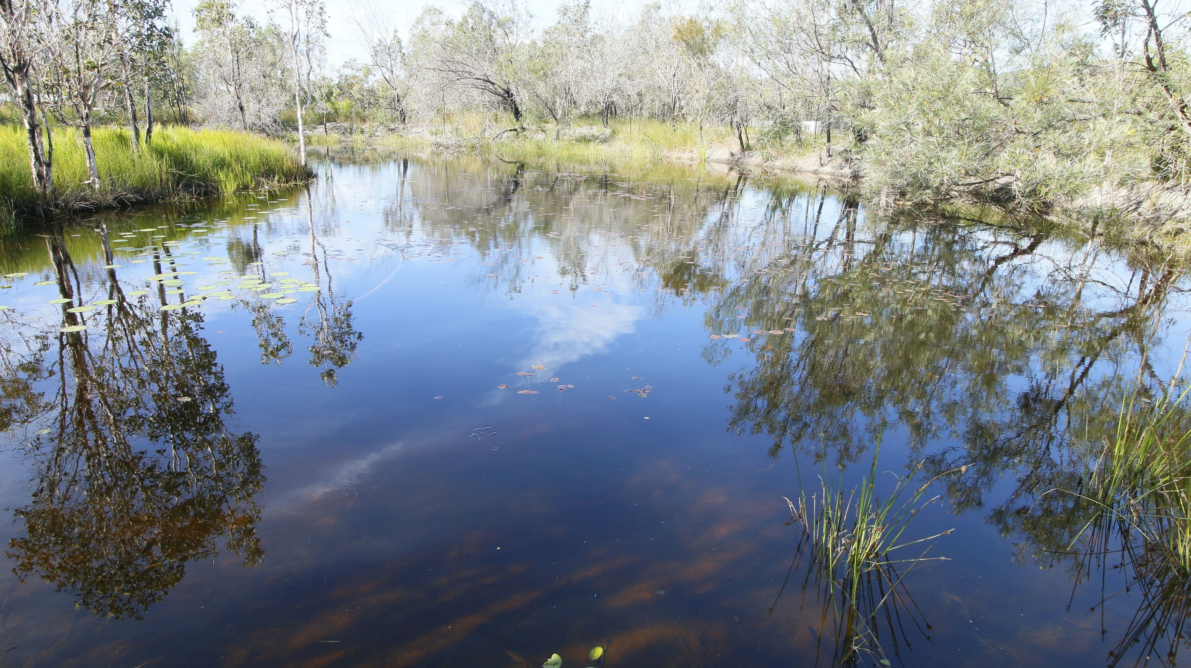 Lot 236 Allingham Way, Agnes Water QLD 4677, Agnes Water - Thumbnail 7