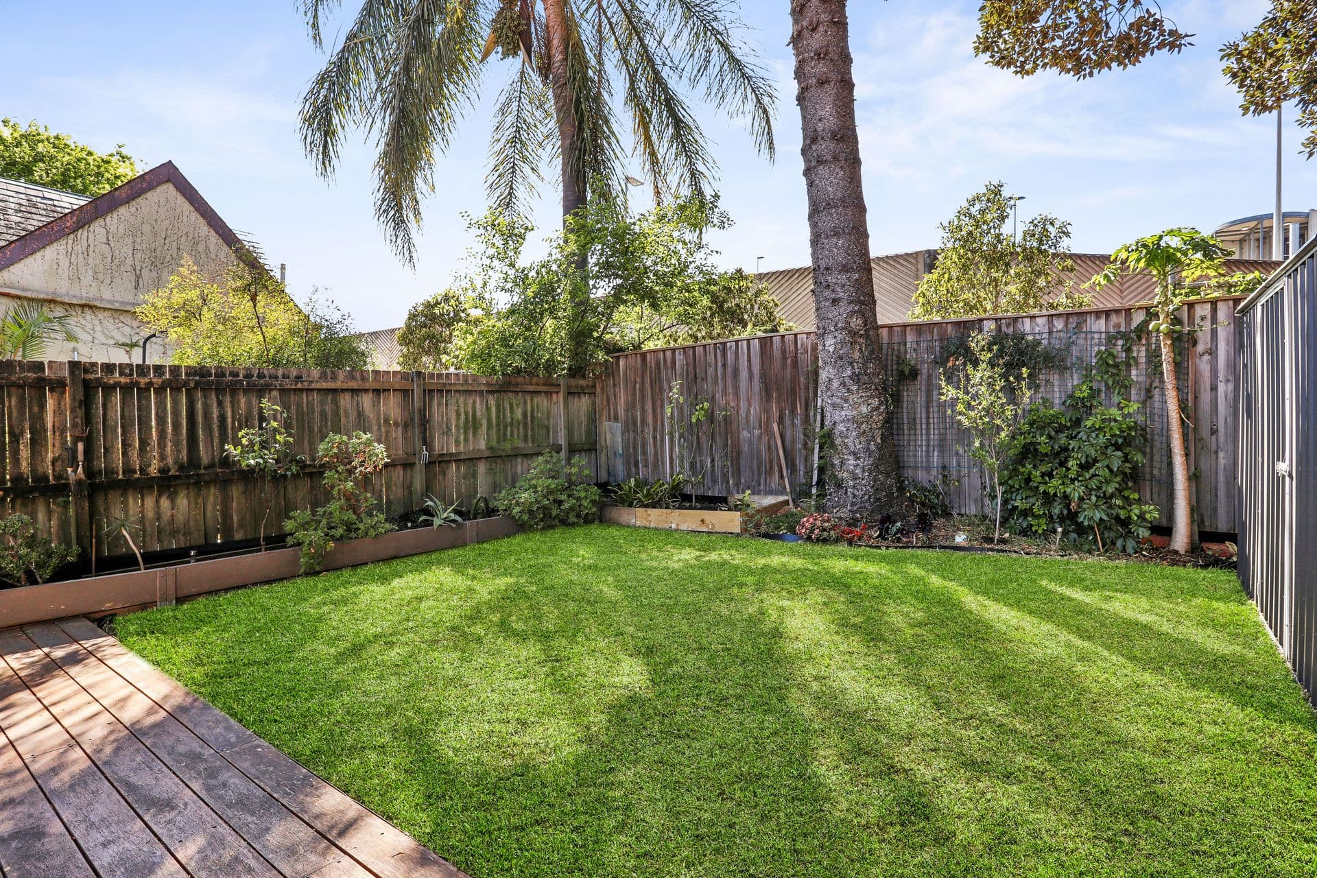 62 Doncaster Avenue, Kensington NSW 2033, Kensington - Thumbnail 5
