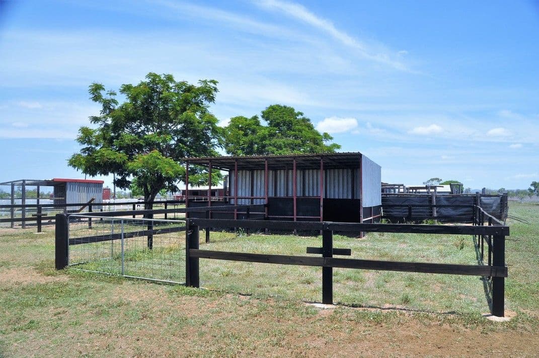 1149 Rockhampton Ridgelands Road, Alton Downs QLD 4702, Alton Downs - Thumbnail 5