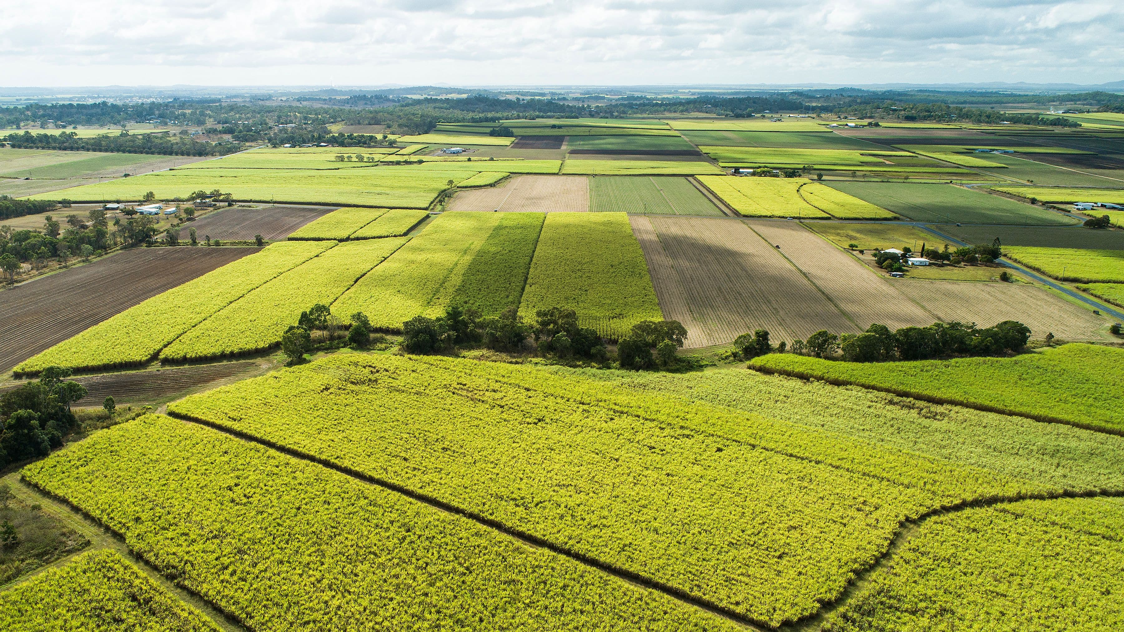 Lot 2 Mount Vince Road, Victoria Plains QLD 4751, Victoria Plains - Thumbnail 4