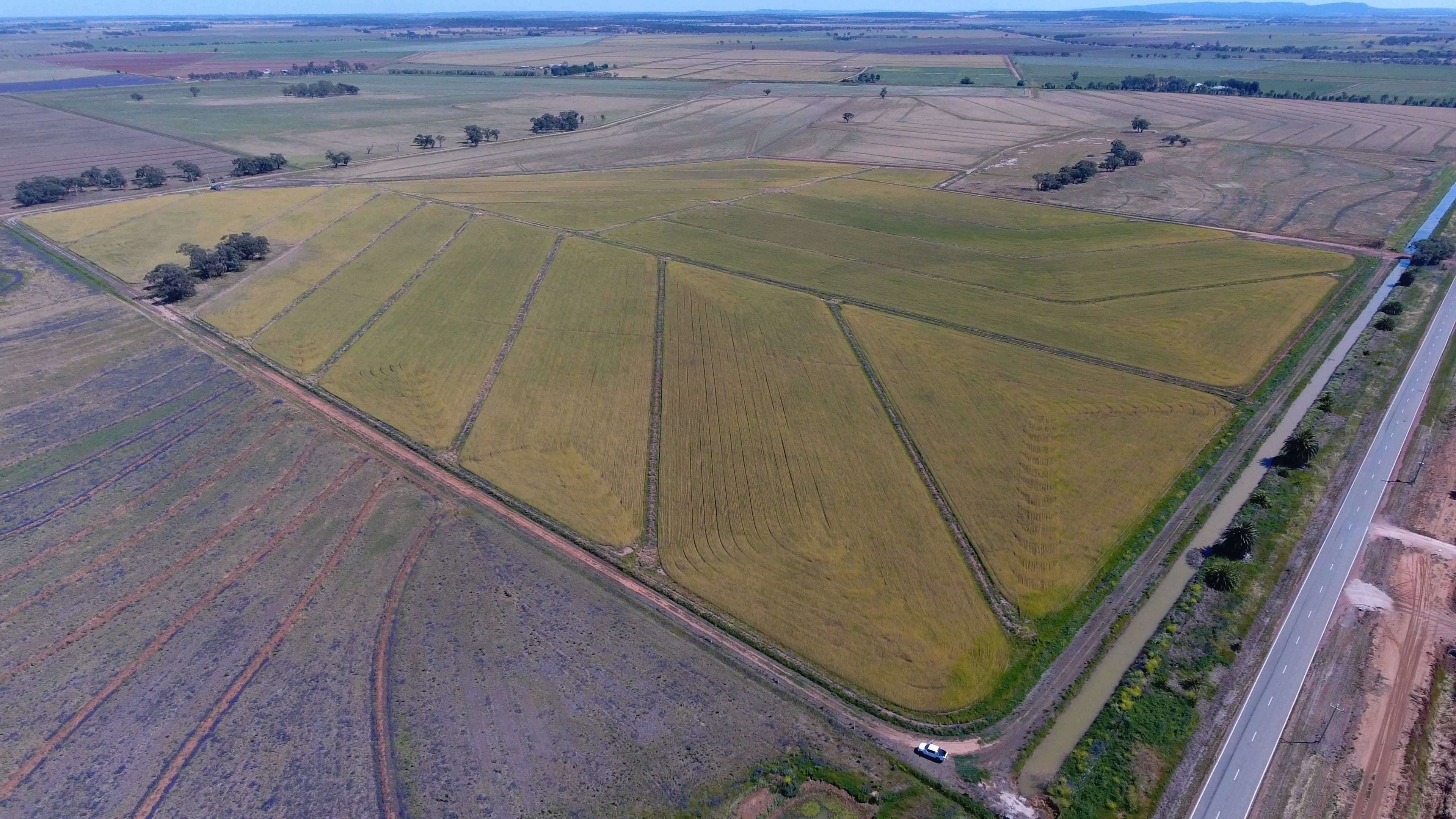 "Part Farm" 1078, Murrami NSW 2705, Murrami - Thumbnail 2