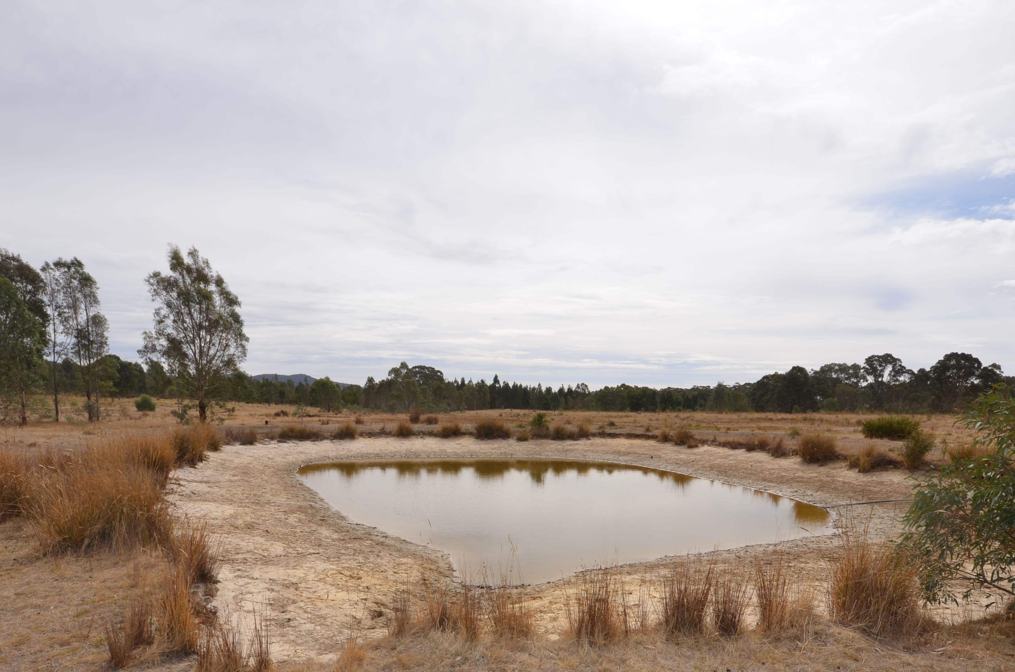 5098 Stawell-Avoca Road, Frenchmans VIC 3384, Frenchmans - Thumbnail 8