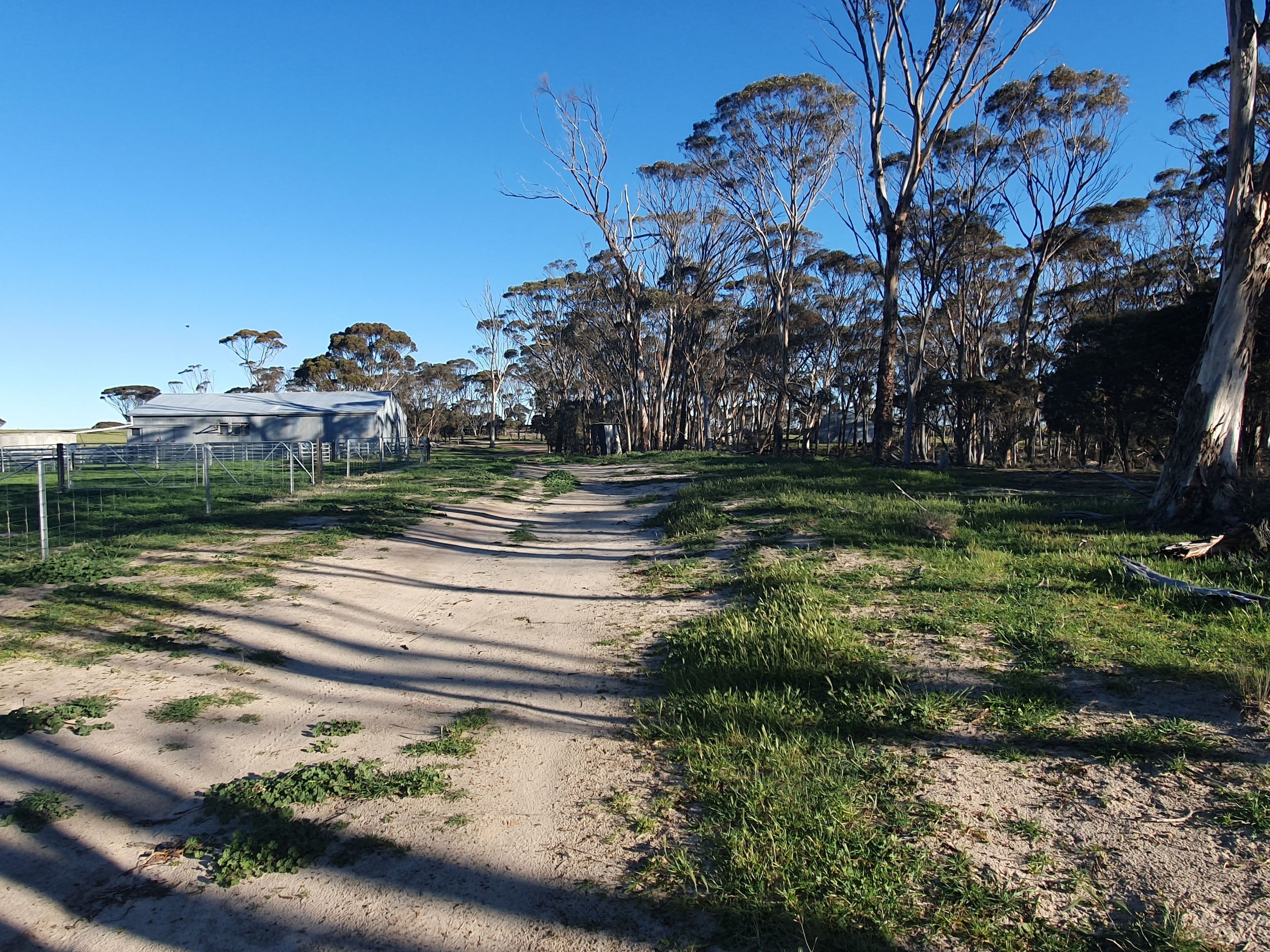 2405 North Needilup Road, Pingrup WA 6343, Pingrup - Thumbnail 4