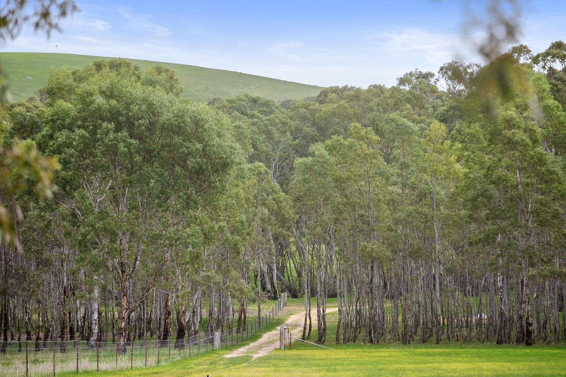 1094 Sandbar Road, Lake Lonsdale VIC 3381, Lake Lonsdale - Thumbnail 8